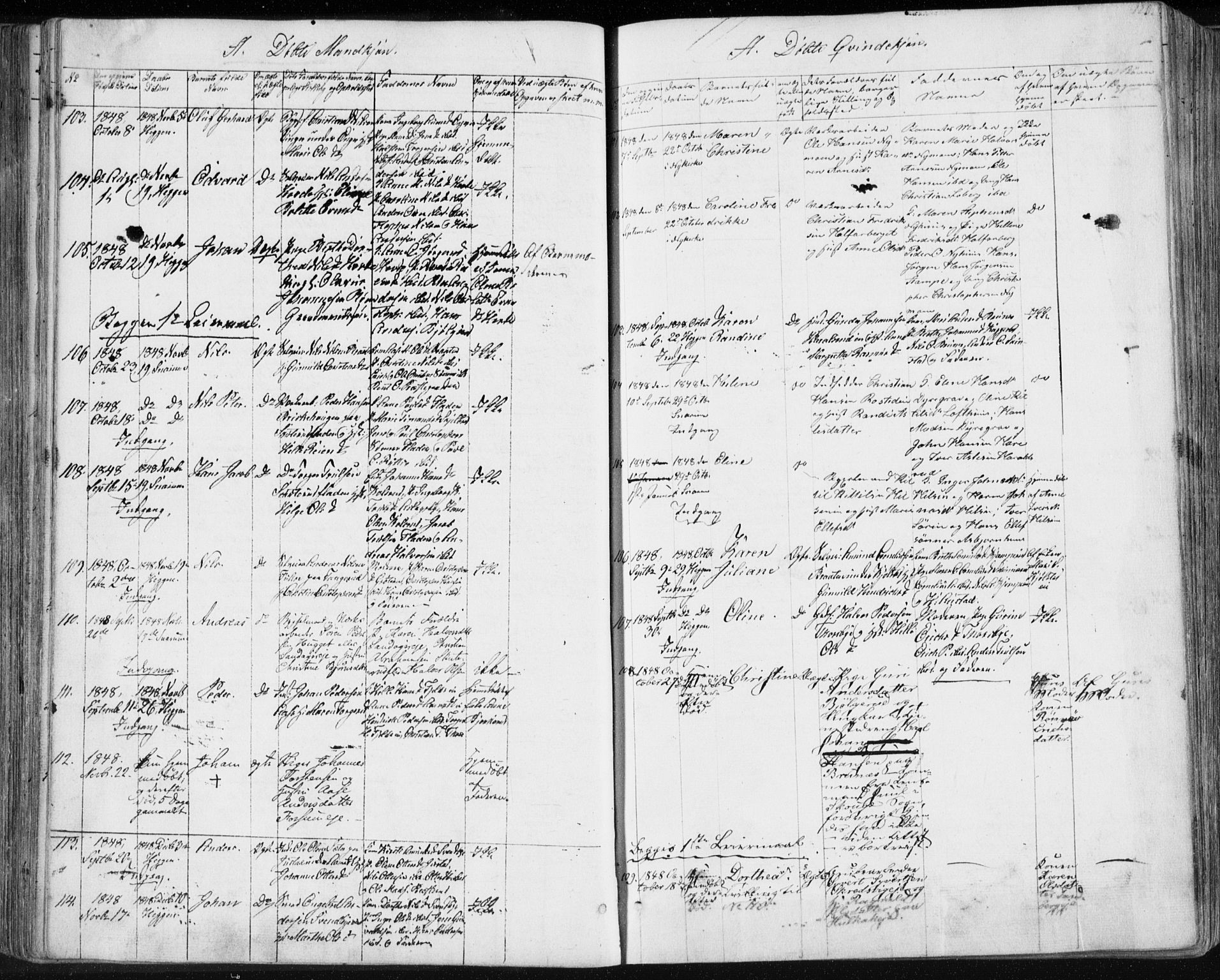 Modum kirkebøker, AV/SAKO-A-234/F/Fa/L0007: Parish register (official) no. 7, 1841-1850, p. 120