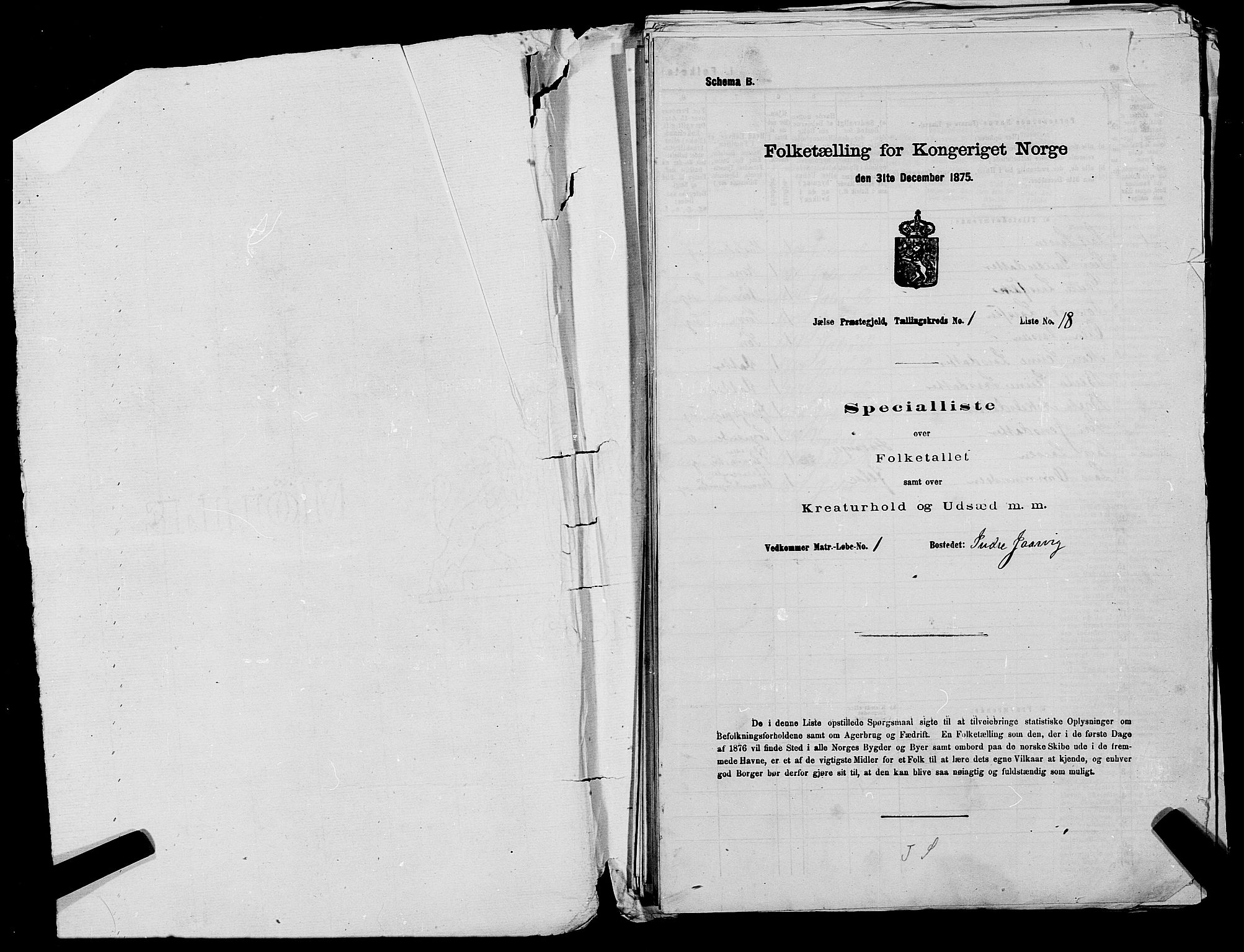 SAST, 1875 census for 1138P Jelsa, 1875, p. 39