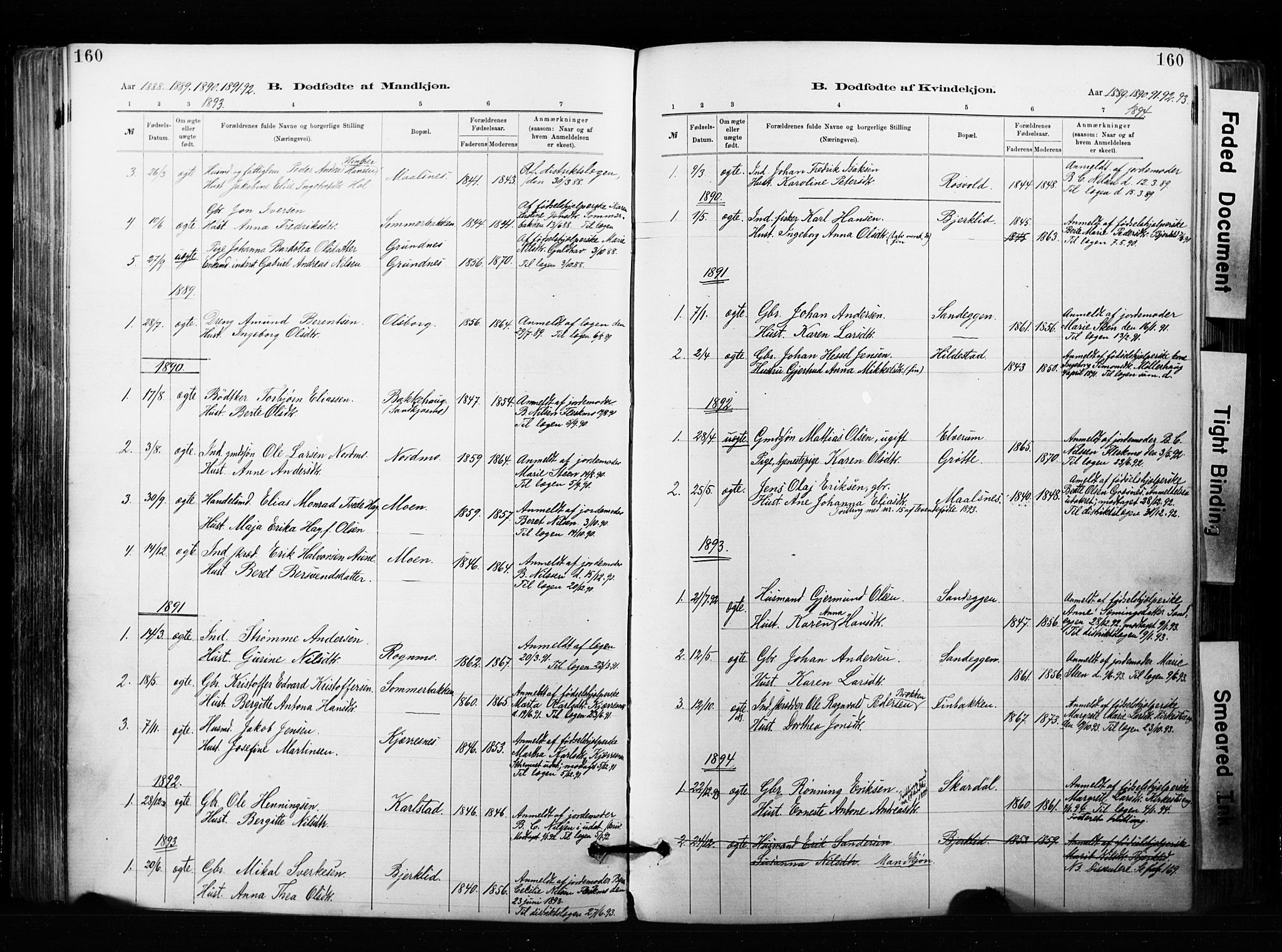 Målselv sokneprestembete, SATØ/S-1311/G/Ga/Gaa/L0007kirke: Parish register (official) no. 7, 1884-1903, p. 160