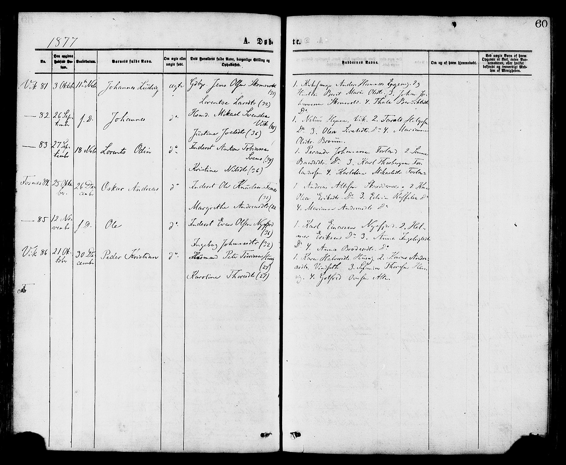 Ministerialprotokoller, klokkerbøker og fødselsregistre - Nord-Trøndelag, SAT/A-1458/773/L0616: Parish register (official) no. 773A07, 1870-1887, p. 60