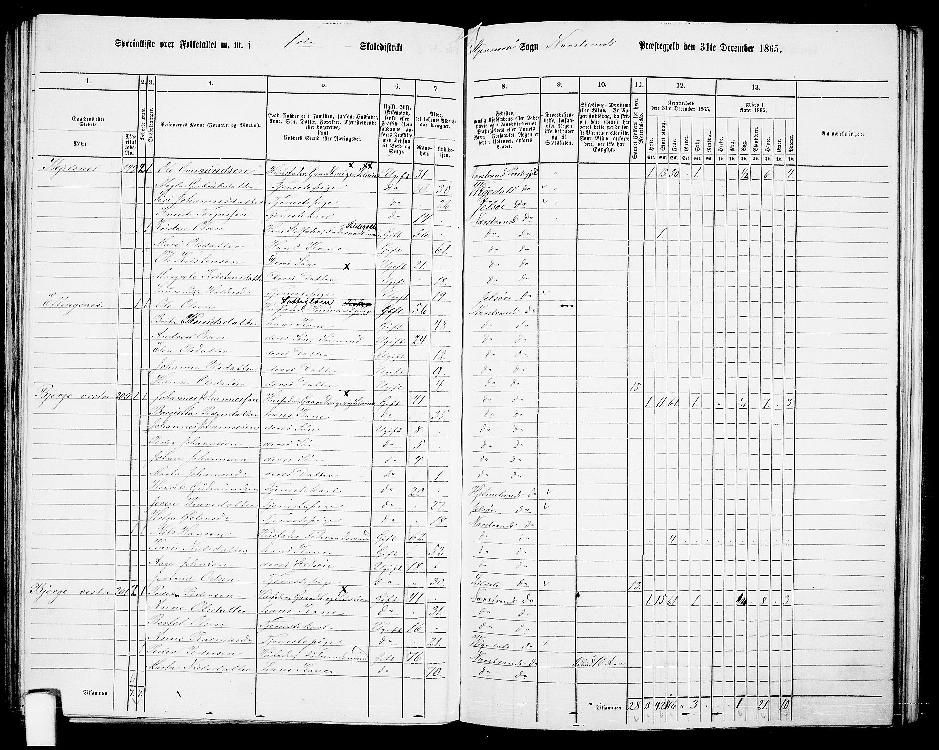 RA, 1865 census for Nedstrand, 1865, p. 79