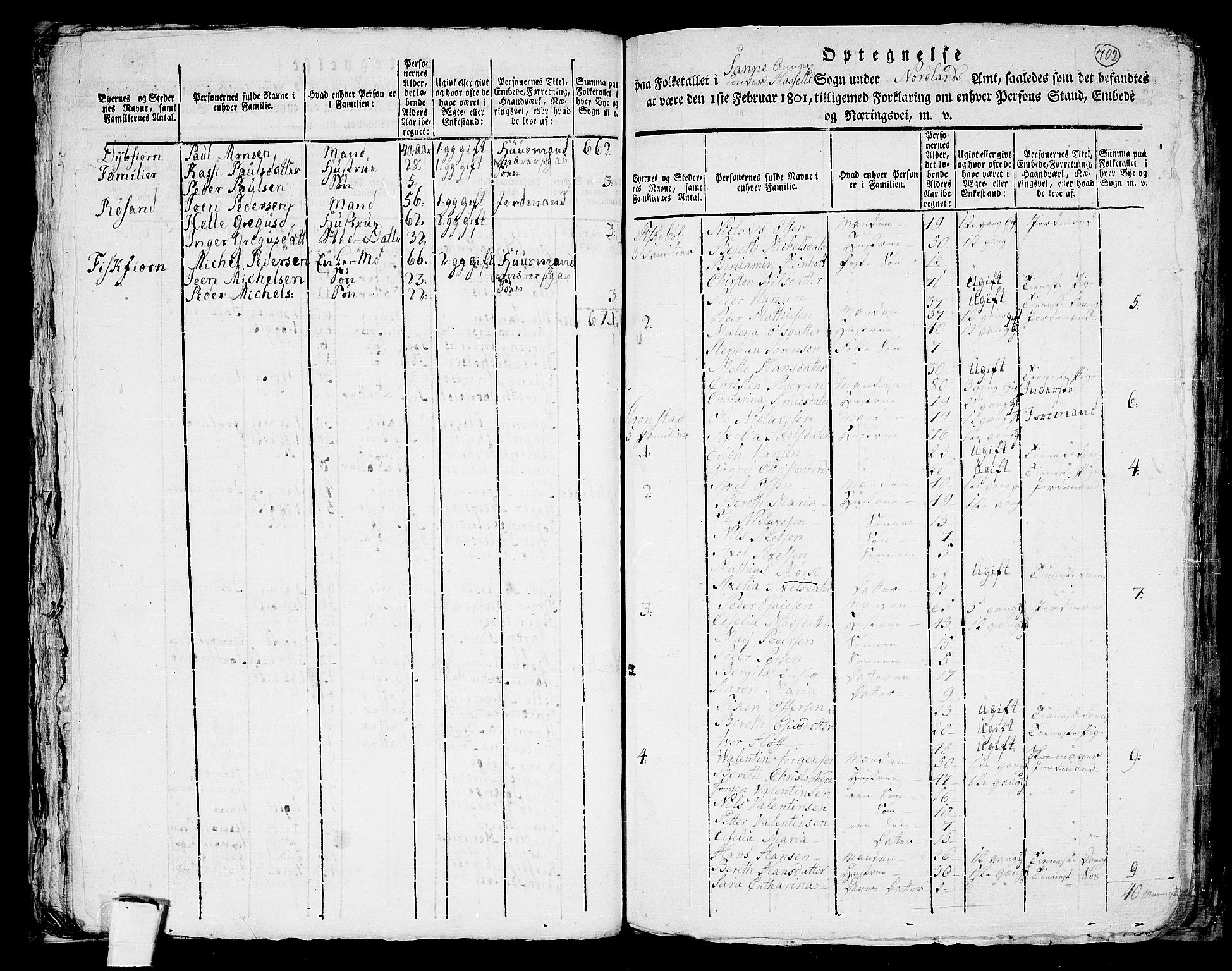 RA, 1801 census for 1866P Hadsel, 1801, p. 701b-702a