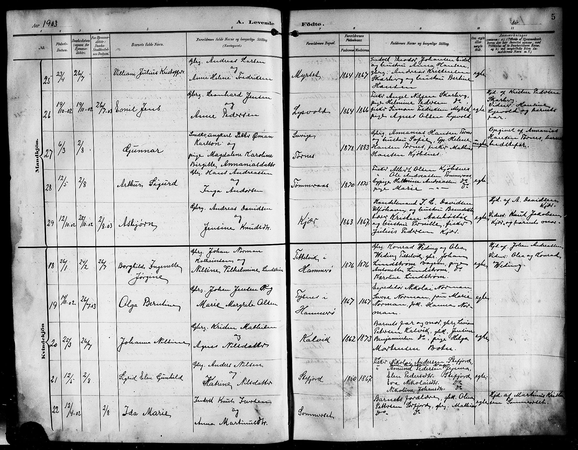 Ministerialprotokoller, klokkerbøker og fødselsregistre - Nordland, AV/SAT-A-1459/861/L0877: Parish register (copy) no. 861C03, 1903-1919, p. 5