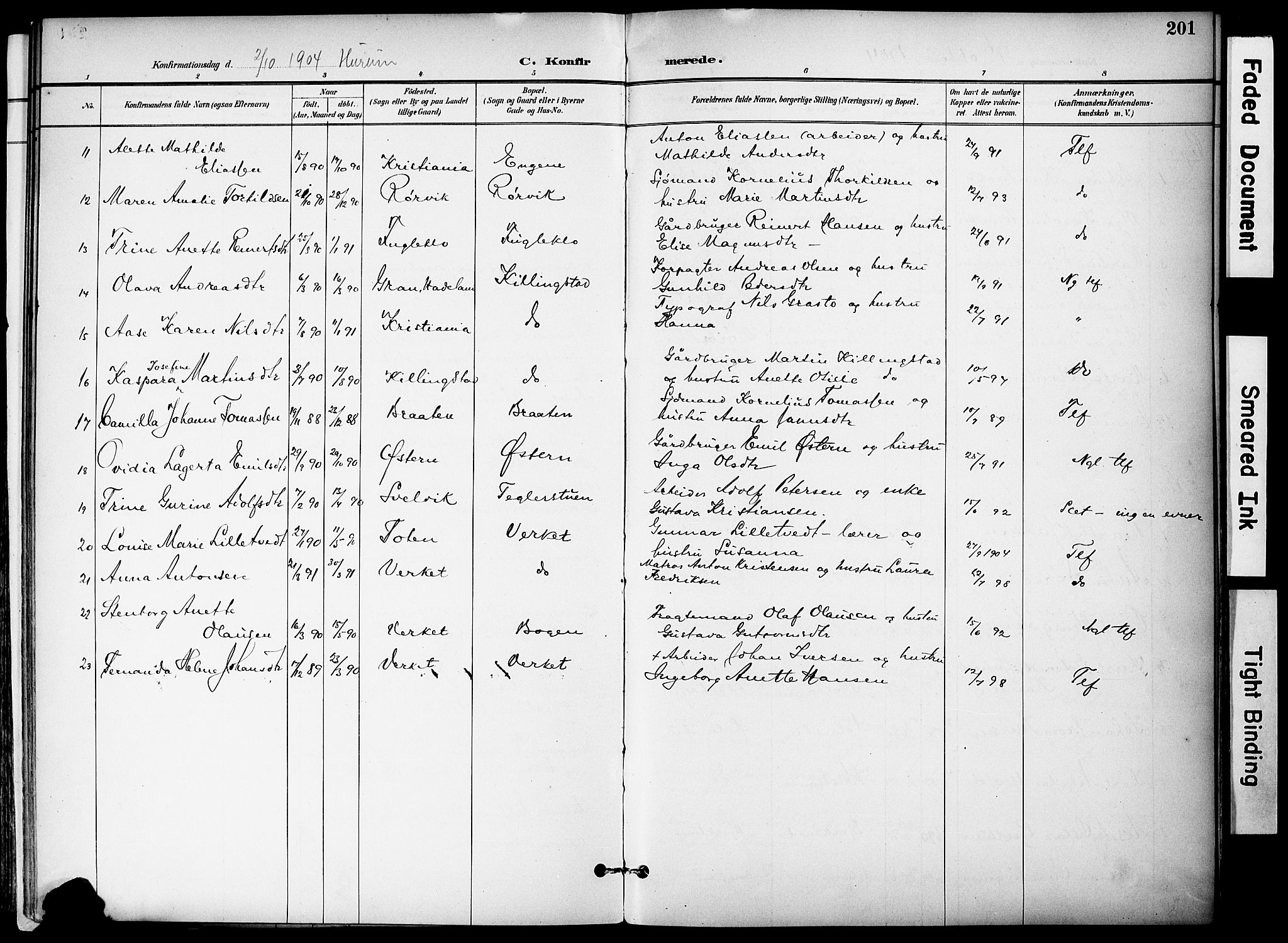 Hurum kirkebøker, AV/SAKO-A-229/F/Fa/L0015: Parish register (official) no. 15, 1896-1908, p. 201