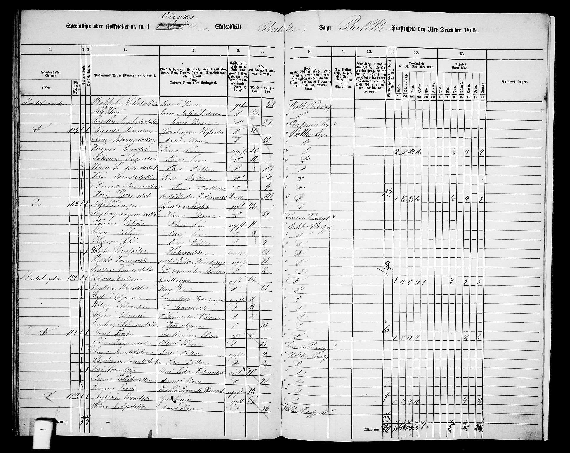 RA, 1865 census for Bakke, 1865, p. 119