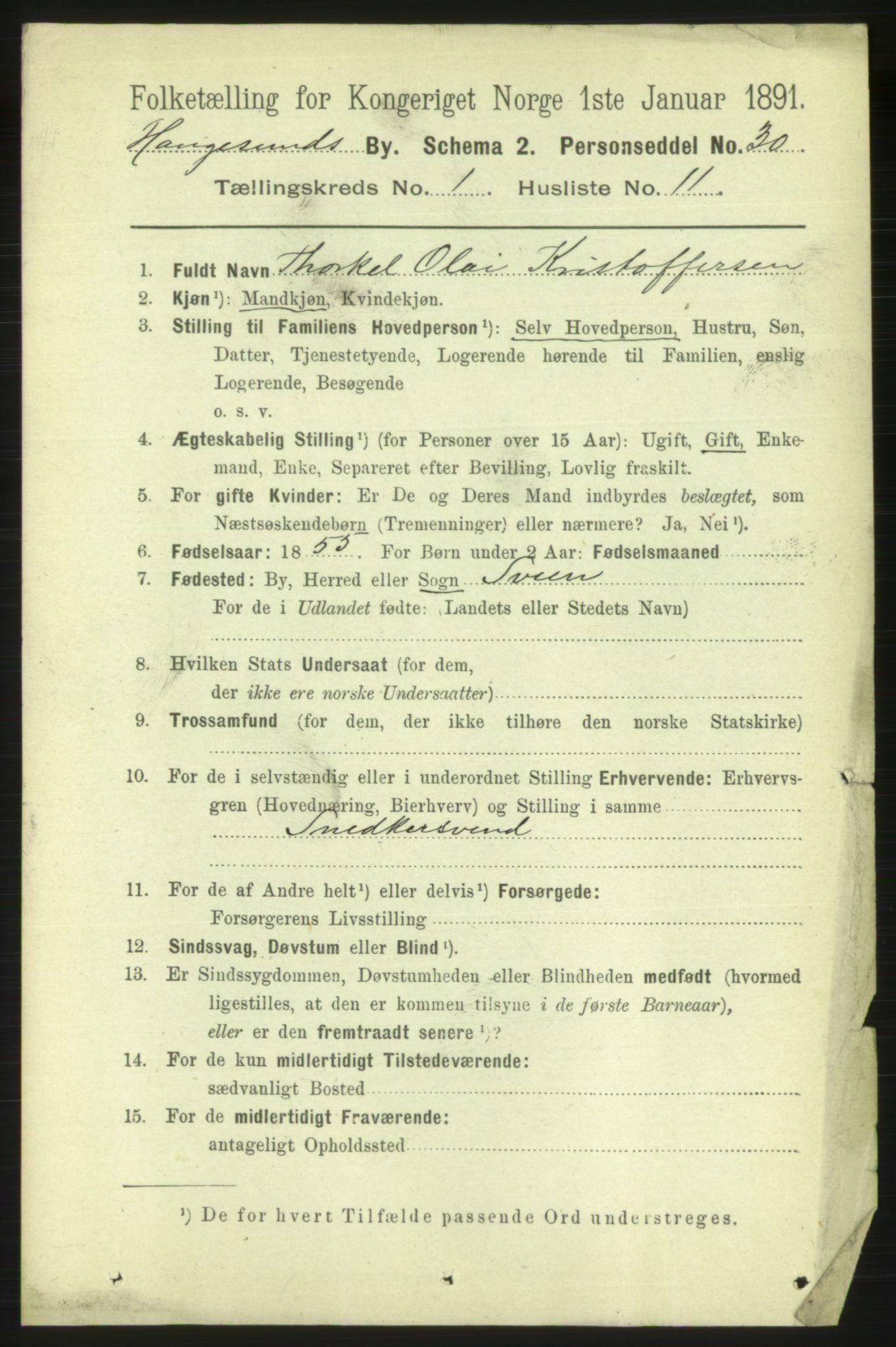 RA, 1891 census for 1106 Haugesund, 1891, p. 1016