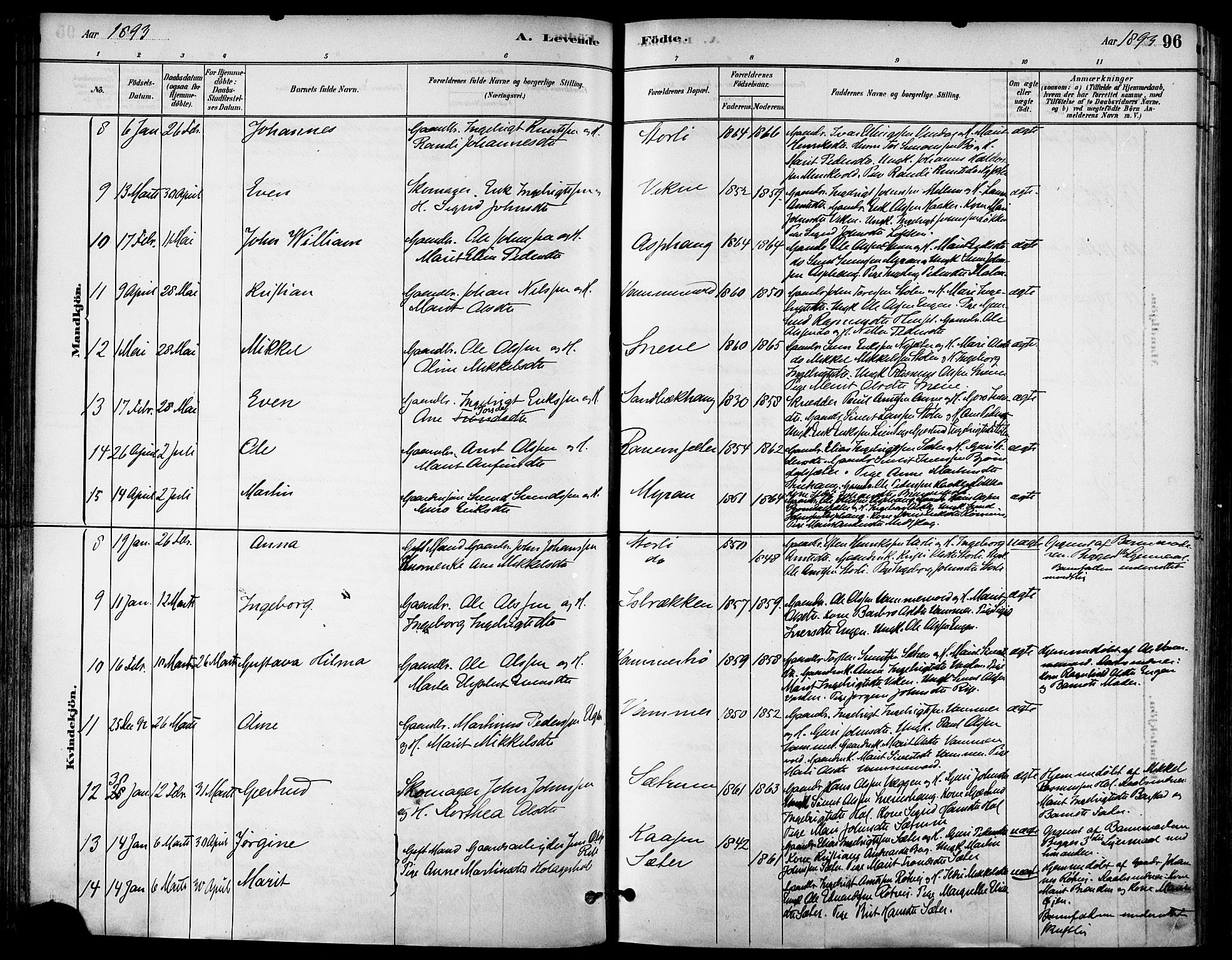 Ministerialprotokoller, klokkerbøker og fødselsregistre - Sør-Trøndelag, AV/SAT-A-1456/678/L0901: Parish register (official) no. 678A10, 1881-1894, p. 96