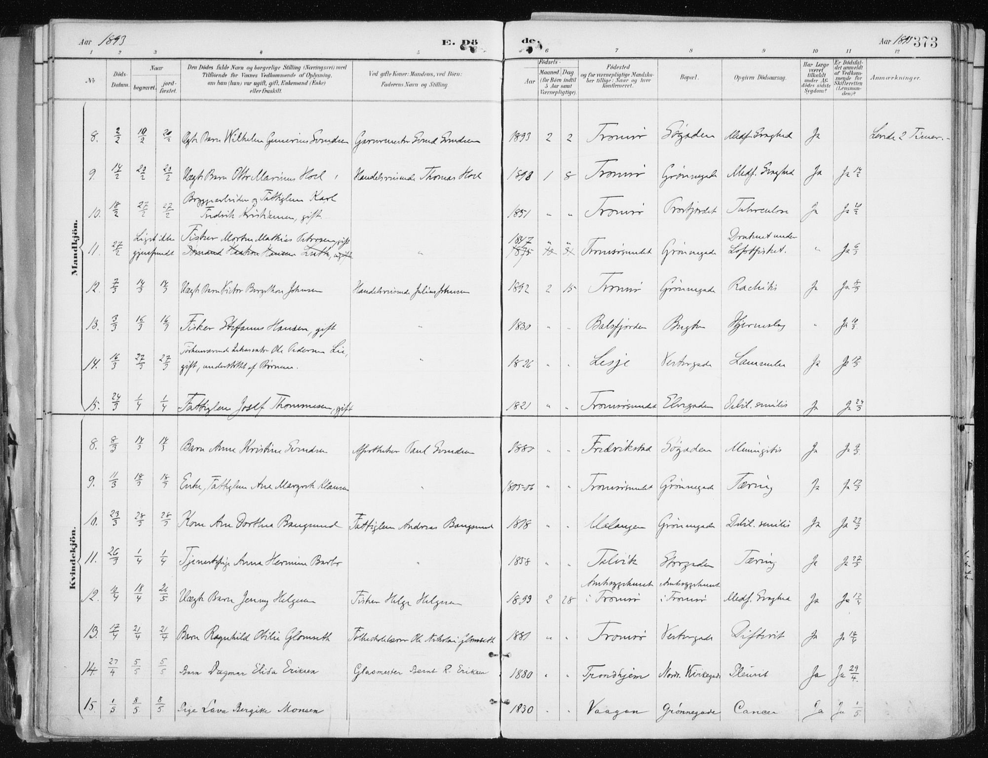 Tromsø sokneprestkontor/stiftsprosti/domprosti, AV/SATØ-S-1343/G/Ga/L0015kirke: Parish register (official) no. 15, 1889-1899, p. 373