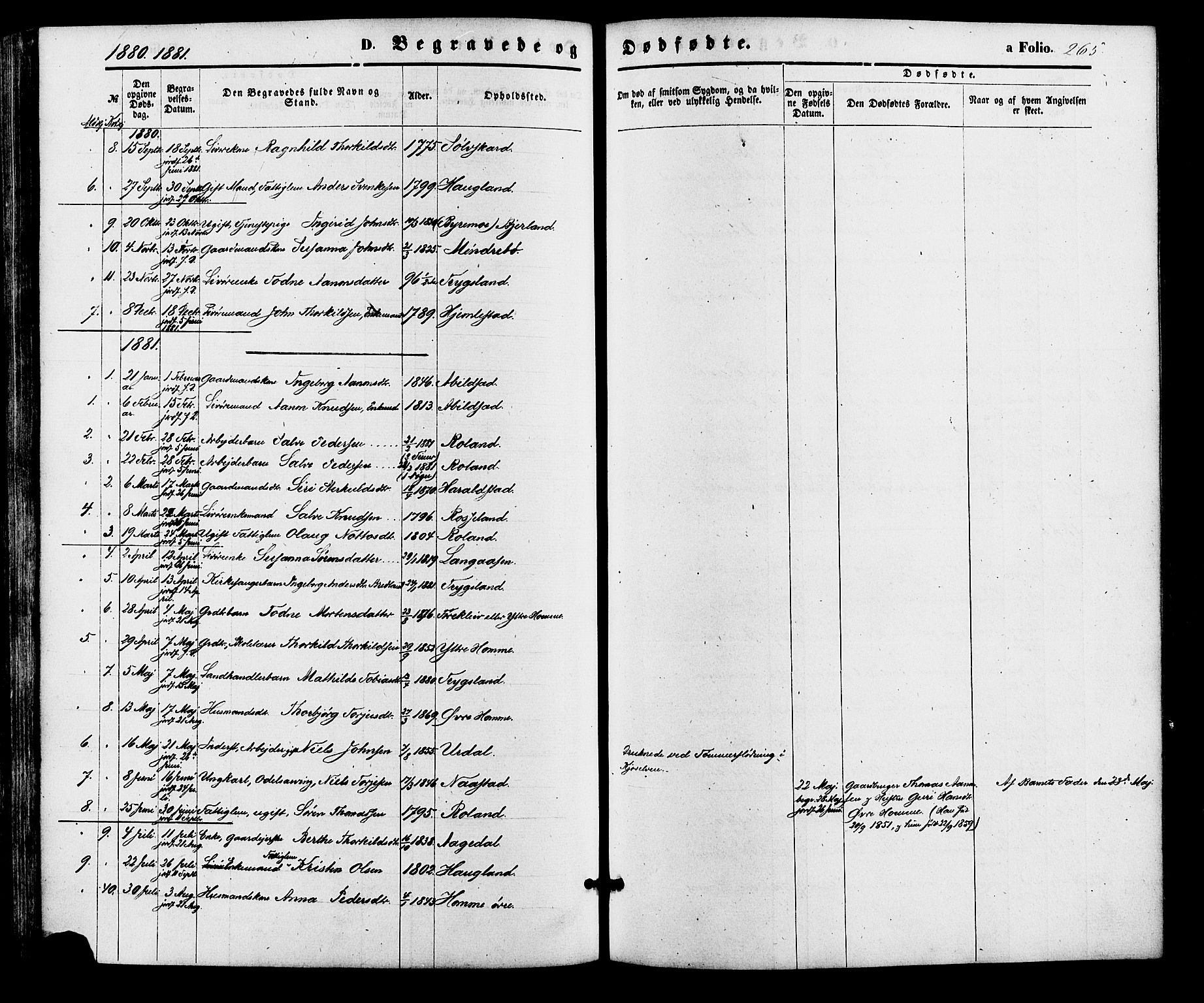 Bjelland sokneprestkontor, SAK/1111-0005/F/Fa/Faa/L0003: Parish register (official) no. A 3, 1867-1887, p. 265