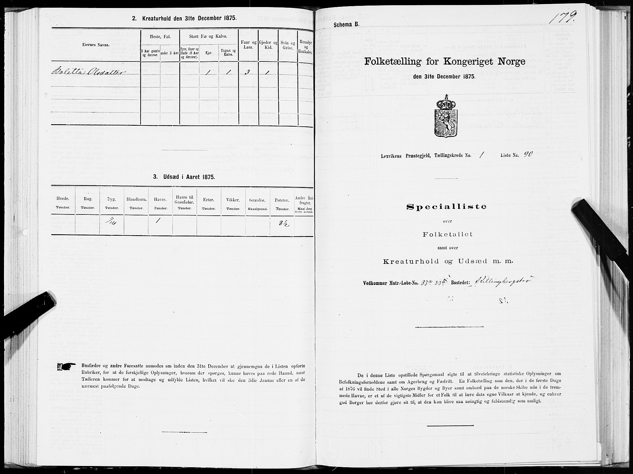 SAT, 1875 census for 1718P Leksvik, 1875, p. 1179