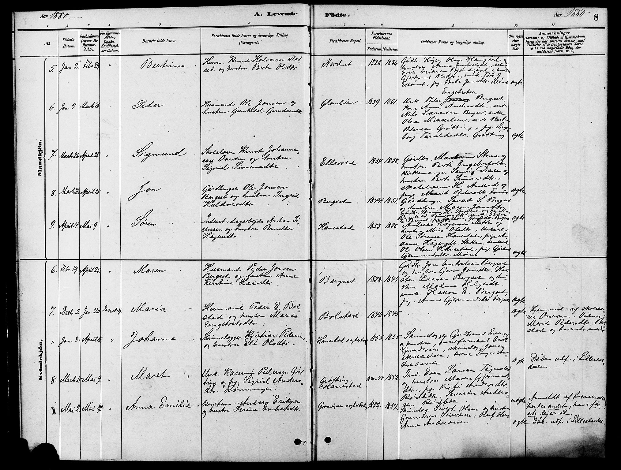 Rendalen prestekontor, SAH/PREST-054/H/Ha/Hab/L0003: Parish register (copy) no. 3, 1879-1904, p. 8