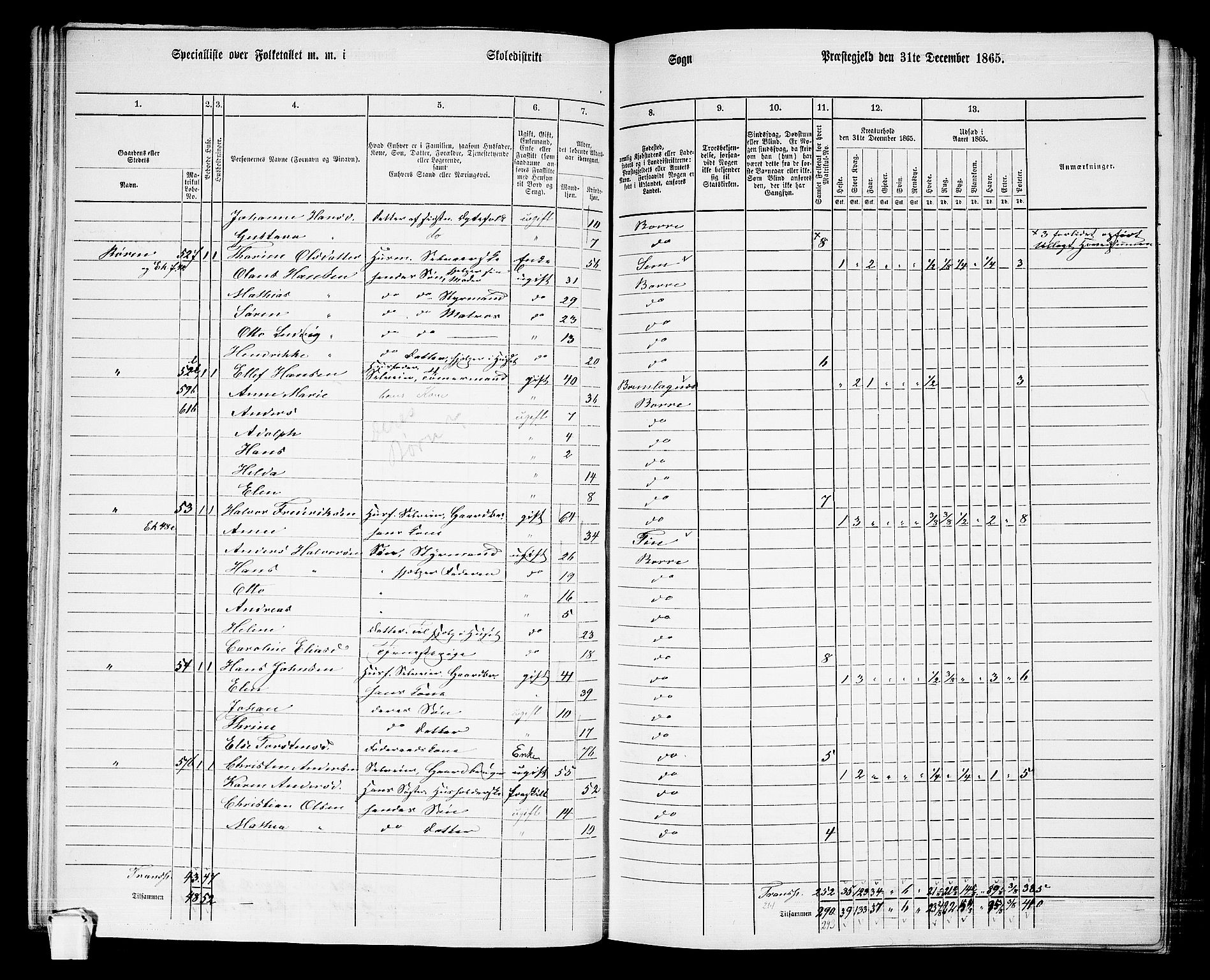 RA, 1865 census for Borre, 1865, p. 72