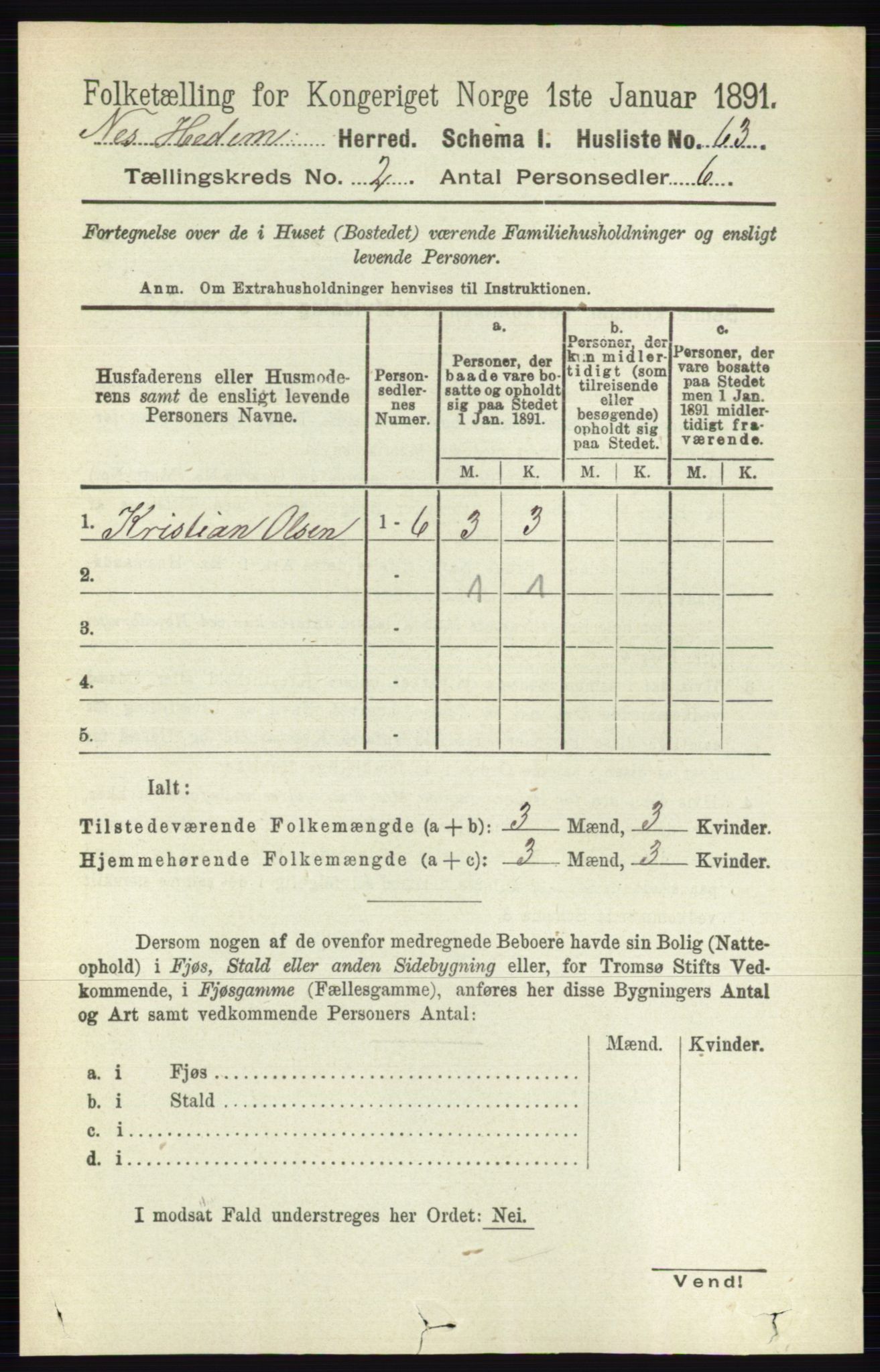 RA, 1891 census for 0411 Nes, 1891, p. 1068