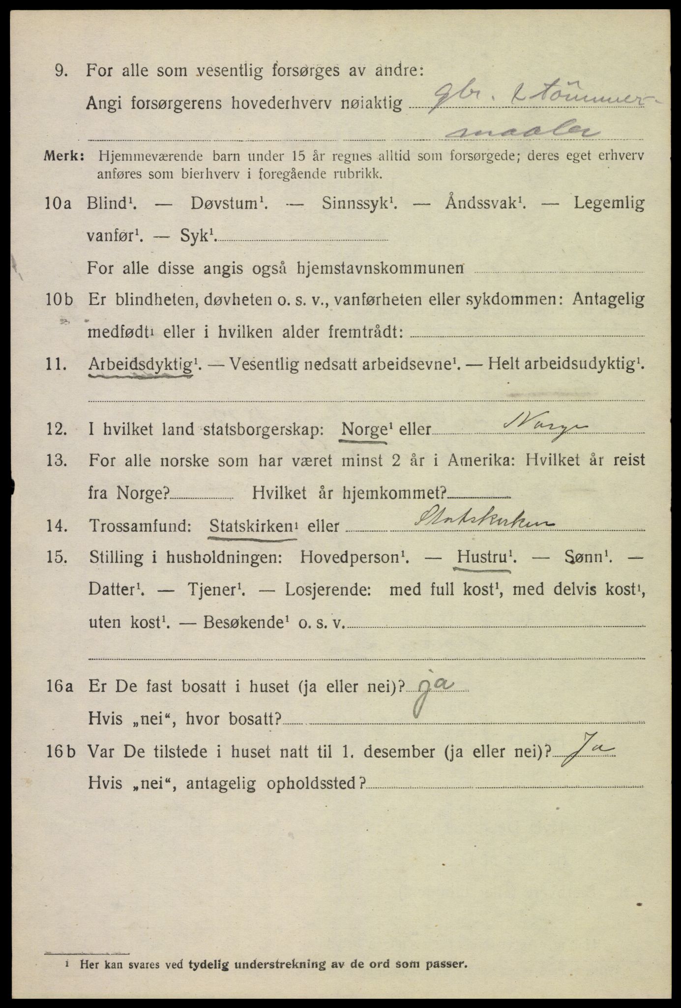 SAH, 1920 census for Sør-Odal, 1920, p. 6668