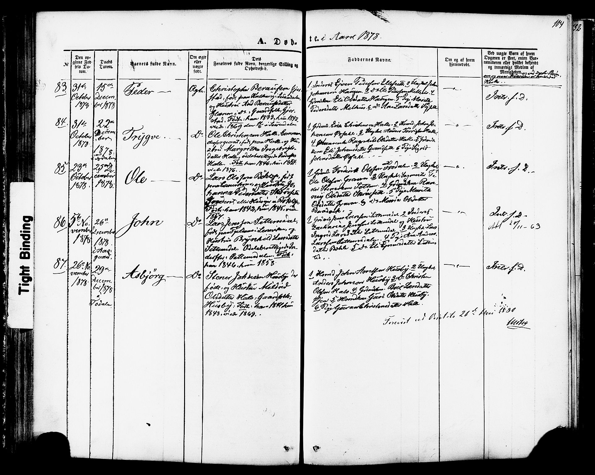 Ministerialprotokoller, klokkerbøker og fødselsregistre - Møre og Romsdal, AV/SAT-A-1454/592/L1027: Parish register (official) no. 592A05, 1865-1878, p. 104