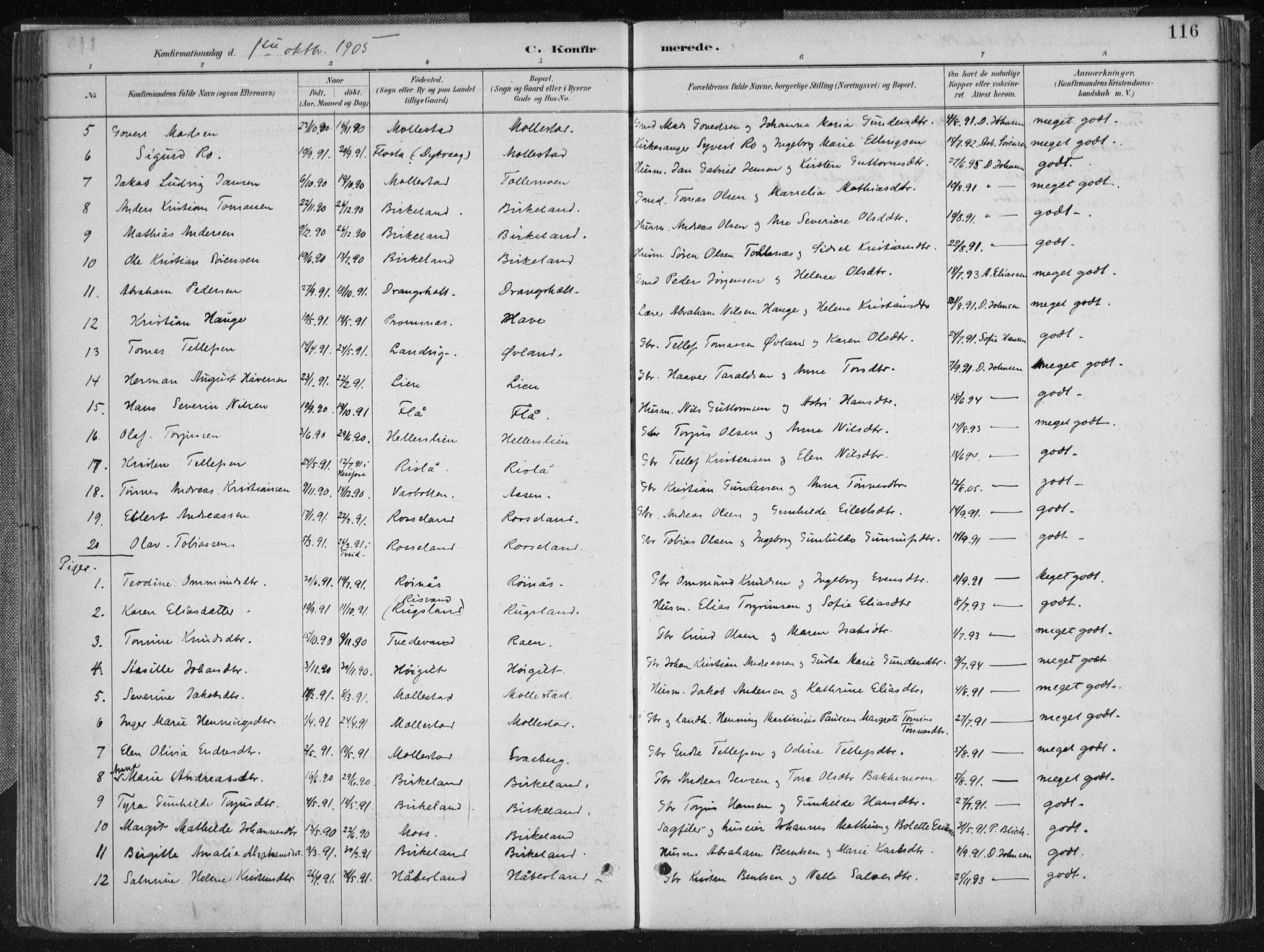 Birkenes sokneprestkontor, SAK/1111-0004/F/Fa/L0005: Parish register (official) no. A 5, 1887-1907, p. 116