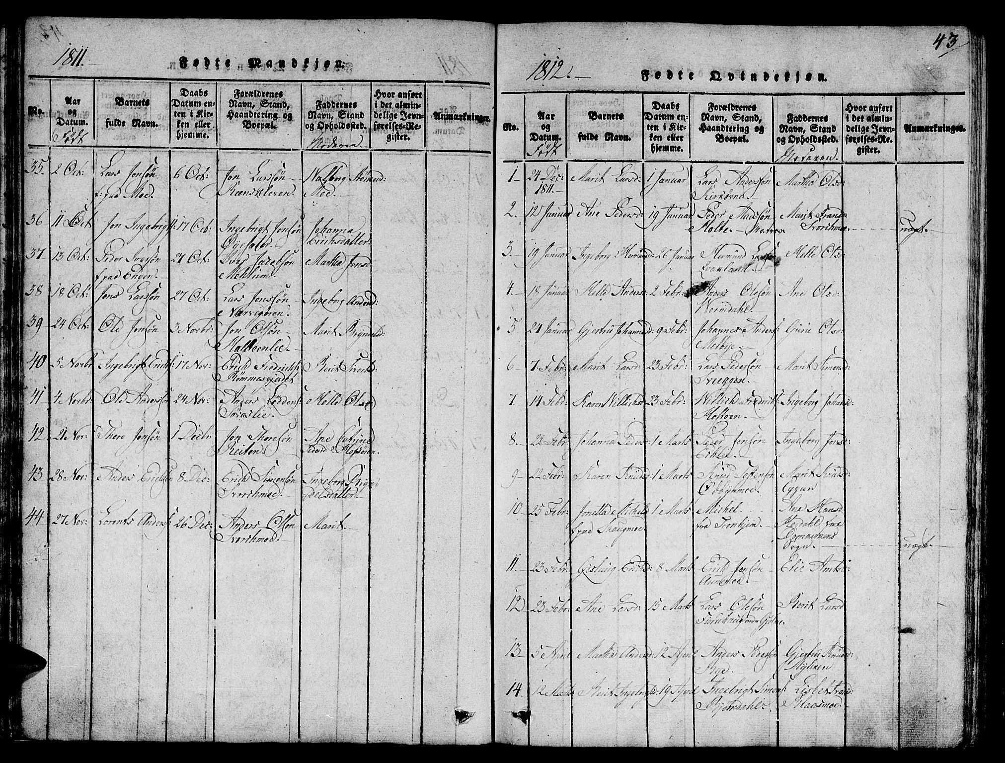 Ministerialprotokoller, klokkerbøker og fødselsregistre - Sør-Trøndelag, SAT/A-1456/668/L0803: Parish register (official) no. 668A03, 1800-1826, p. 43