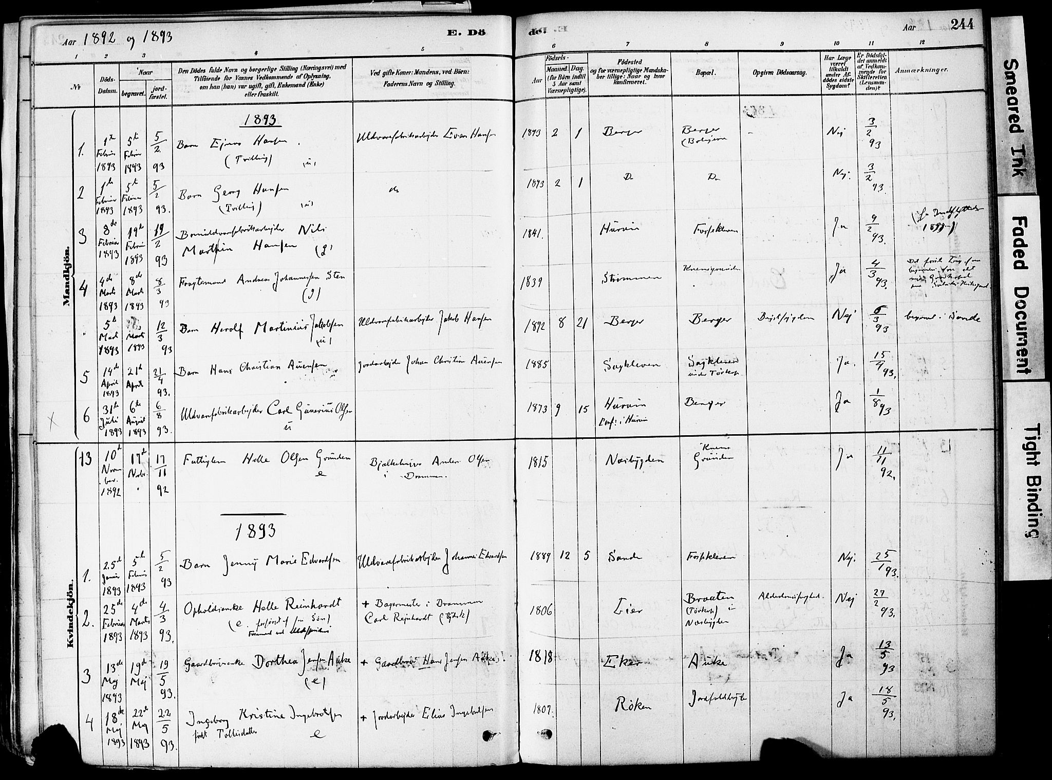 Strømm kirkebøker, AV/SAKO-A-322/F/Fa/L0004: Parish register (official) no. I 4, 1878-1899, p. 244