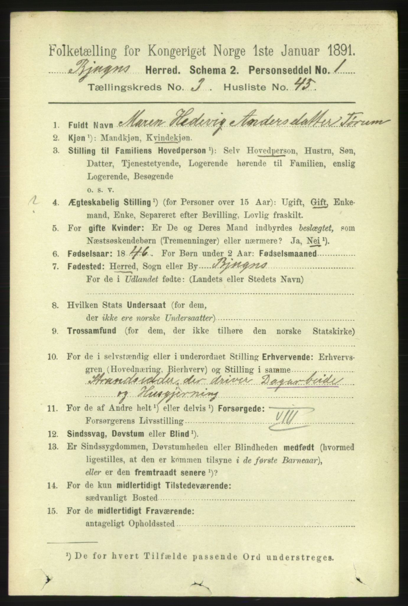 RA, 1891 census for 1627 Bjugn, 1891, p. 910