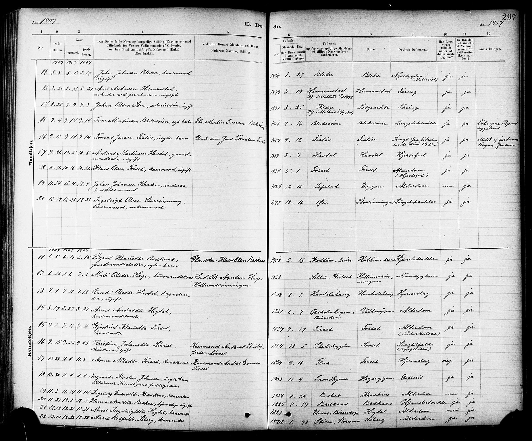 Ministerialprotokoller, klokkerbøker og fødselsregistre - Sør-Trøndelag, SAT/A-1456/691/L1094: Parish register (copy) no. 691C05, 1879-1911, p. 297