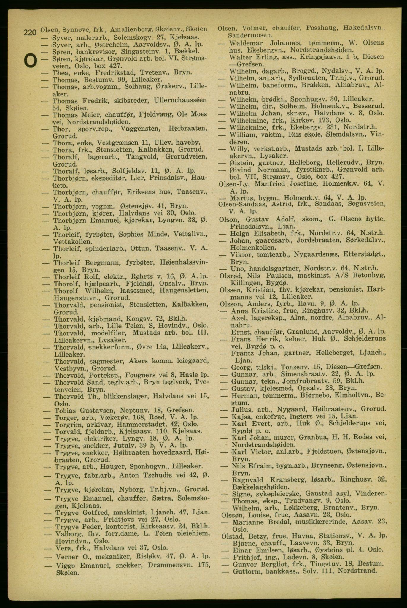 Aker adressebok/adressekalender, PUBL/001/A/004: Aker adressebok, 1929, p. 220