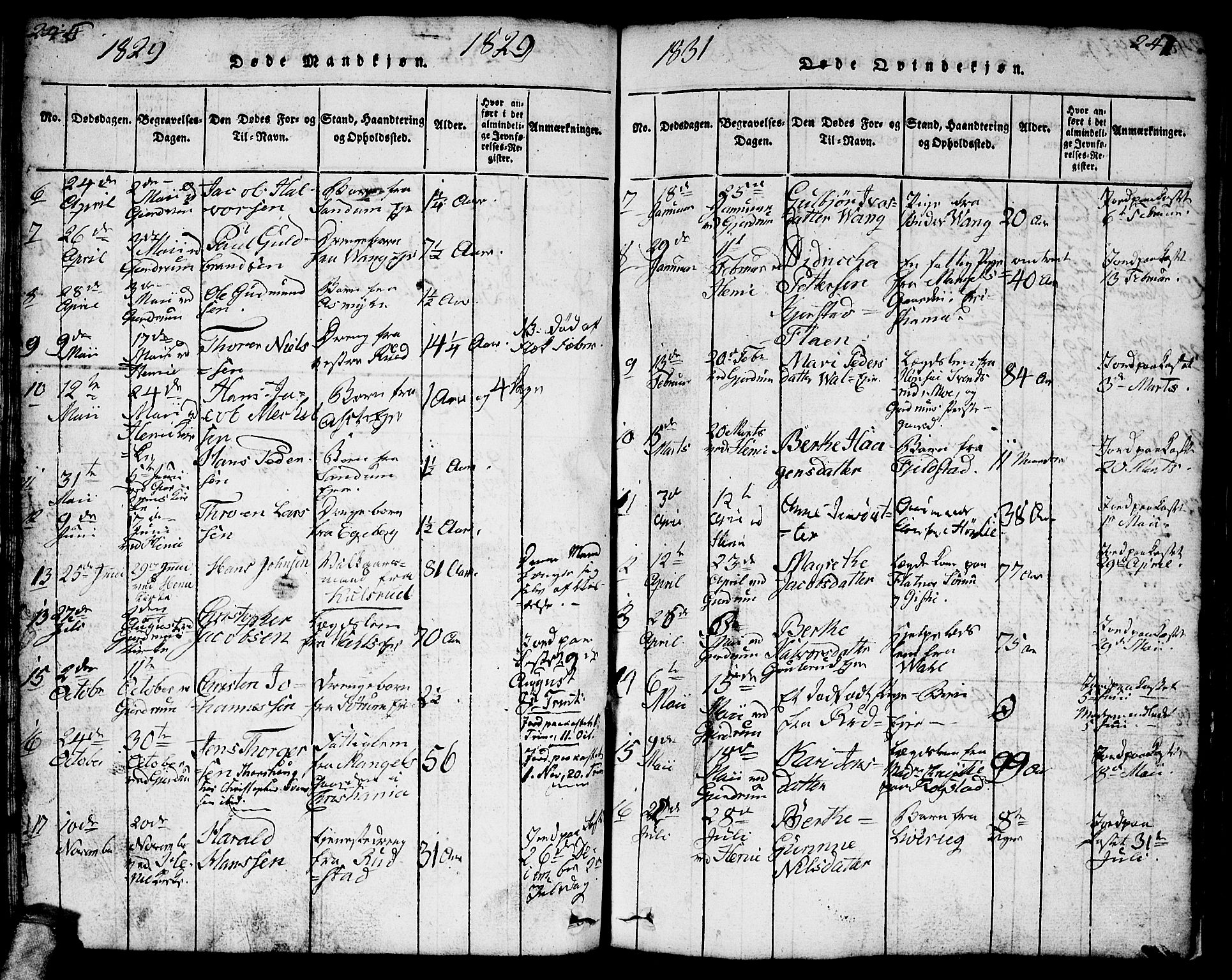 Gjerdrum prestekontor Kirkebøker, AV/SAO-A-10412b/F/Fa/L0004: Parish register (official) no. I 4, 1816-1836, p. 246-247