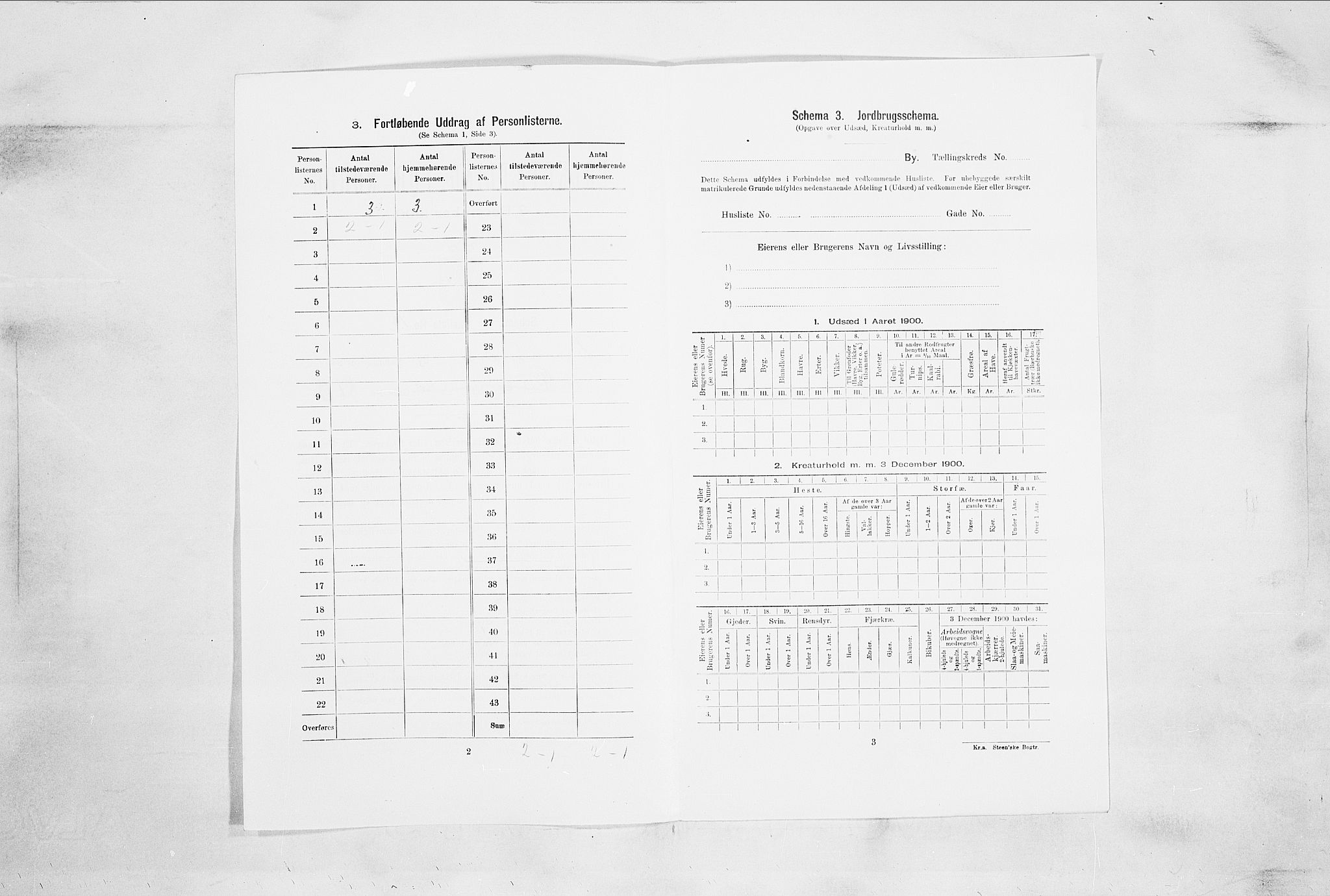 RA, 1900 census for Drammen, 1900, p. 1309