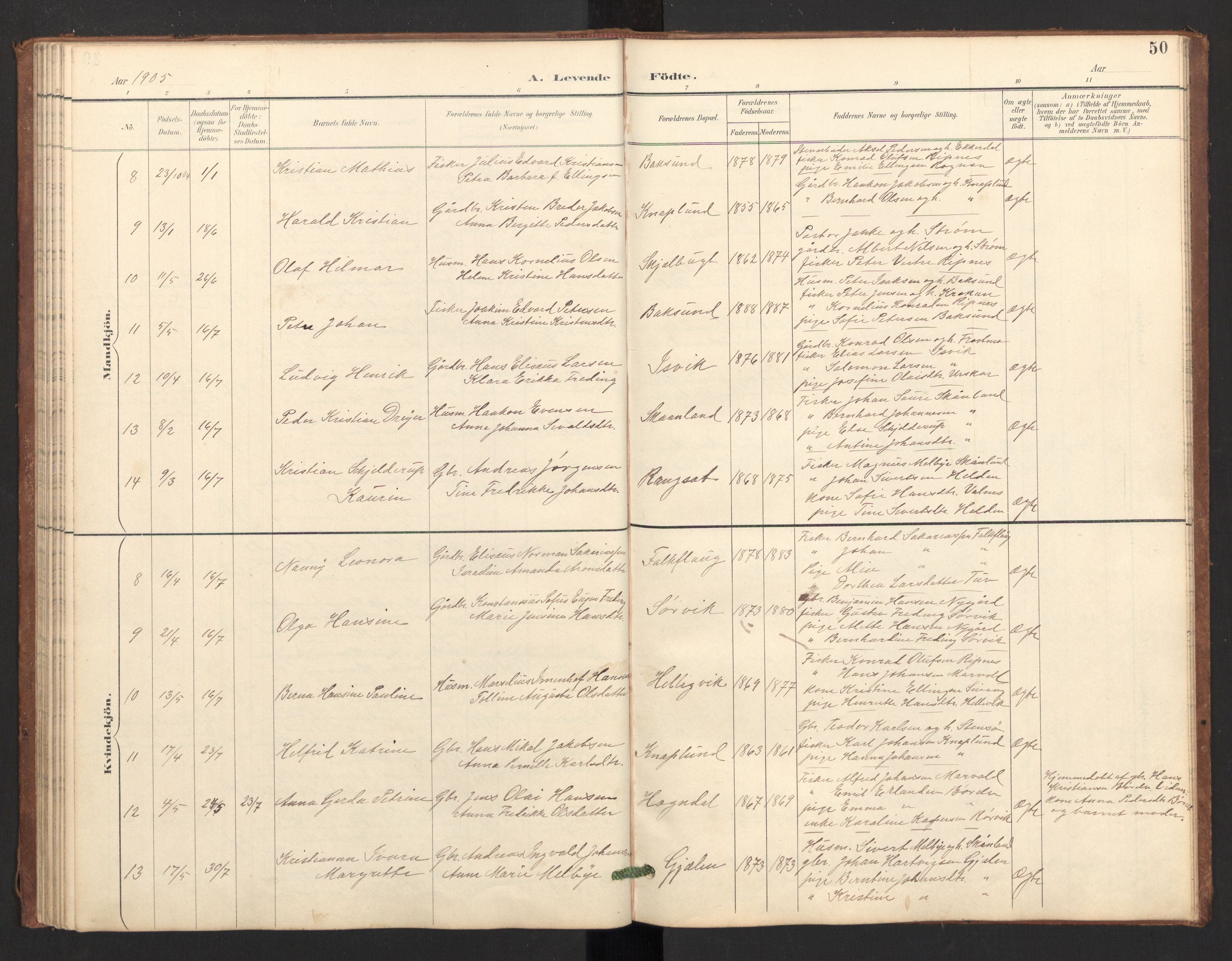 Ministerialprotokoller, klokkerbøker og fødselsregistre - Nordland, SAT/A-1459/804/L0087: Parish register (official) no. 804A08, 1894-1907, p. 50