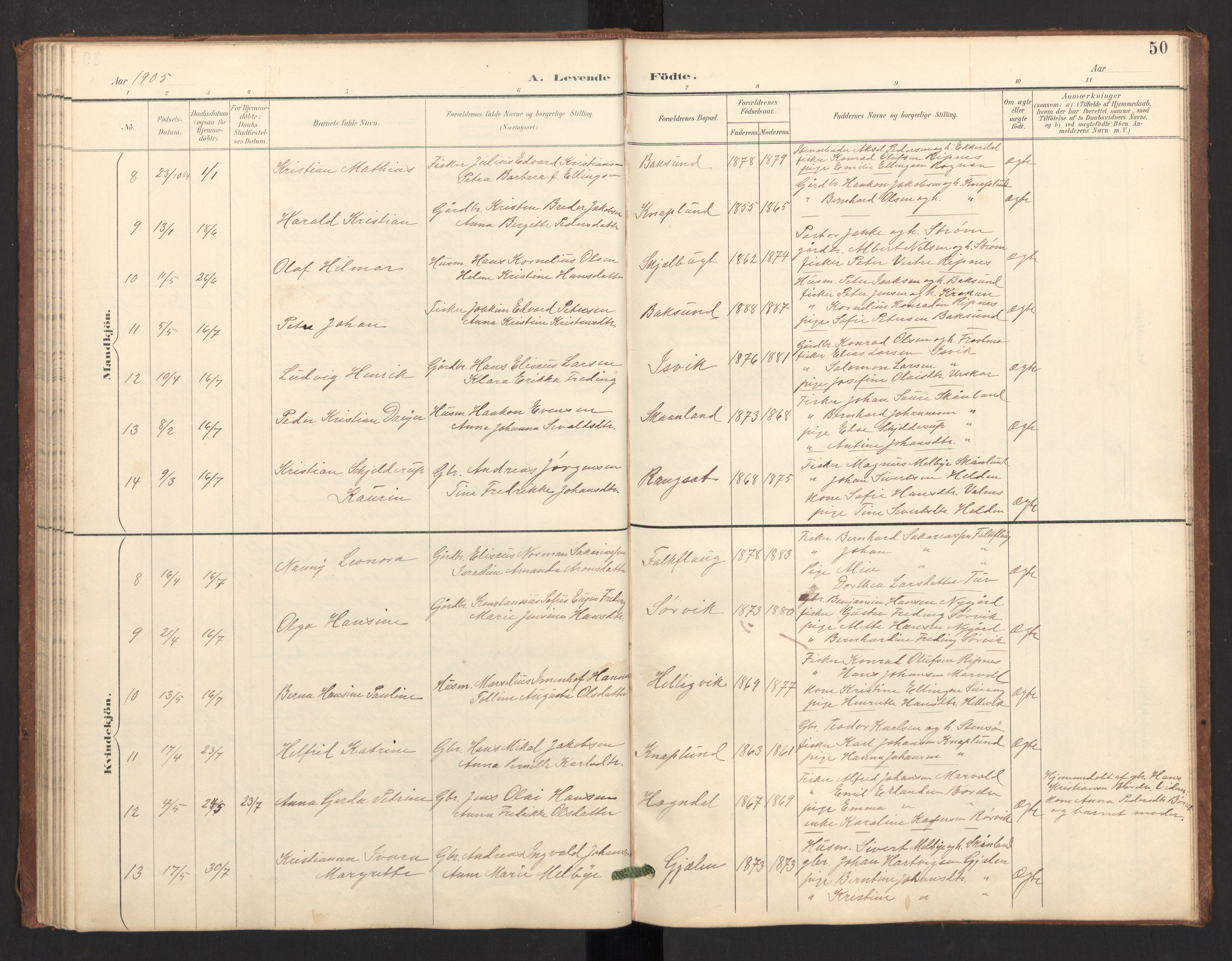 Ministerialprotokoller, klokkerbøker og fødselsregistre - Nordland, AV/SAT-A-1459/804/L0087: Parish register (official) no. 804A08, 1894-1907, p. 50