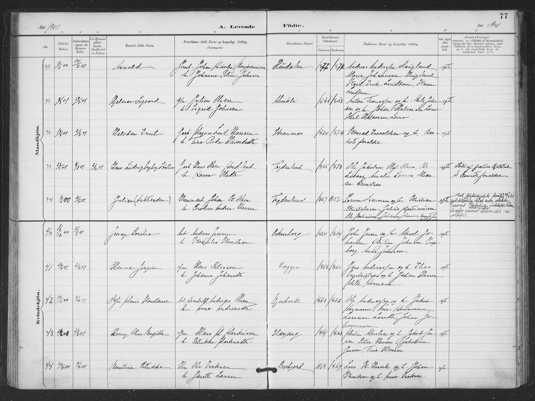 Ministerialprotokoller, klokkerbøker og fødselsregistre - Nordland, AV/SAT-A-1459/866/L0939: Parish register (official) no. 866A02, 1894-1906, p. 77