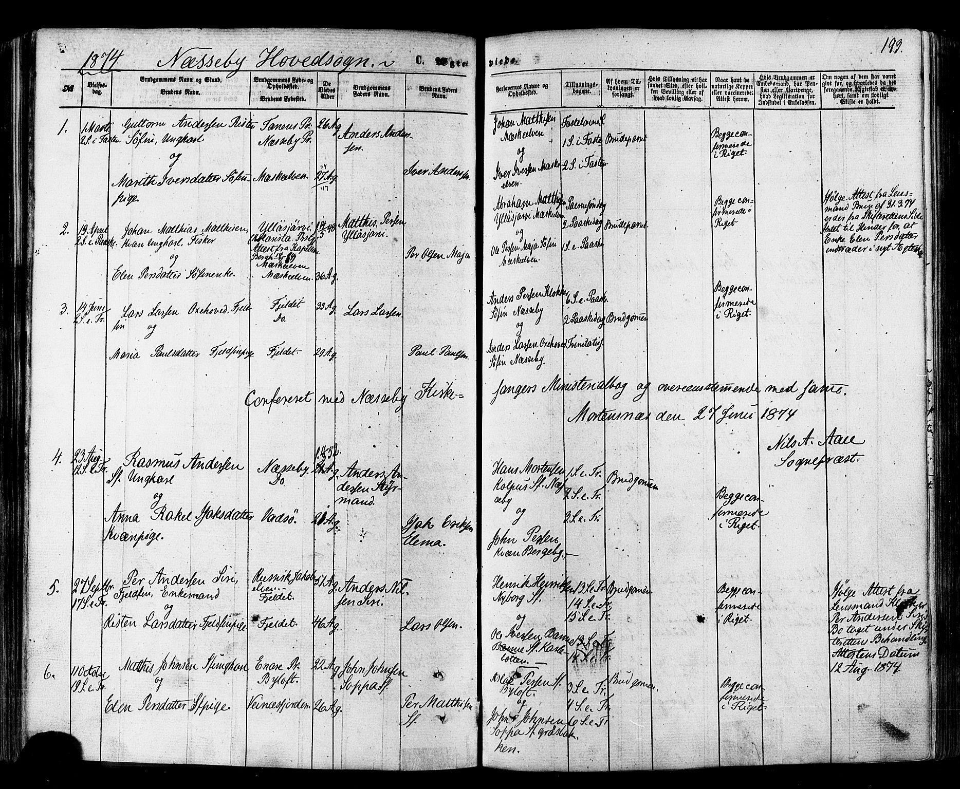 Nesseby sokneprestkontor, SATØ/S-1330/H/Ha/L0003kirke: Parish register (official) no. 3 /1, 1865-1876, p. 193