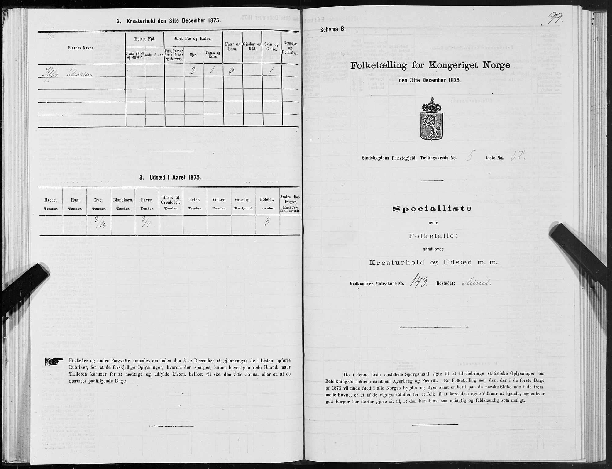 SAT, 1875 census for 1625P Stadsbygd, 1875, p. 3099