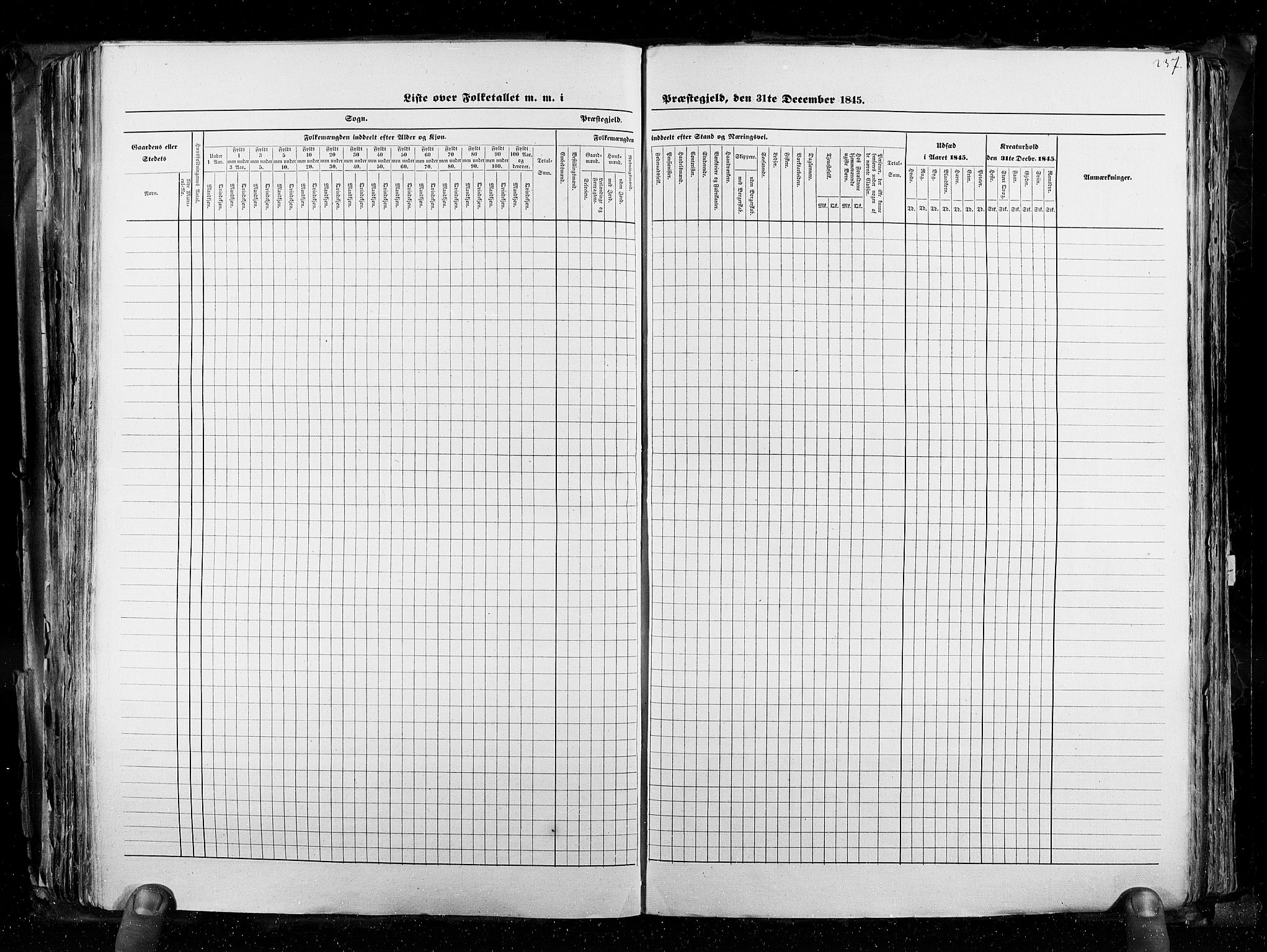 RA, Census 1845, vol. 3: Hedemarken amt og Kristians amt, 1845, p. 237