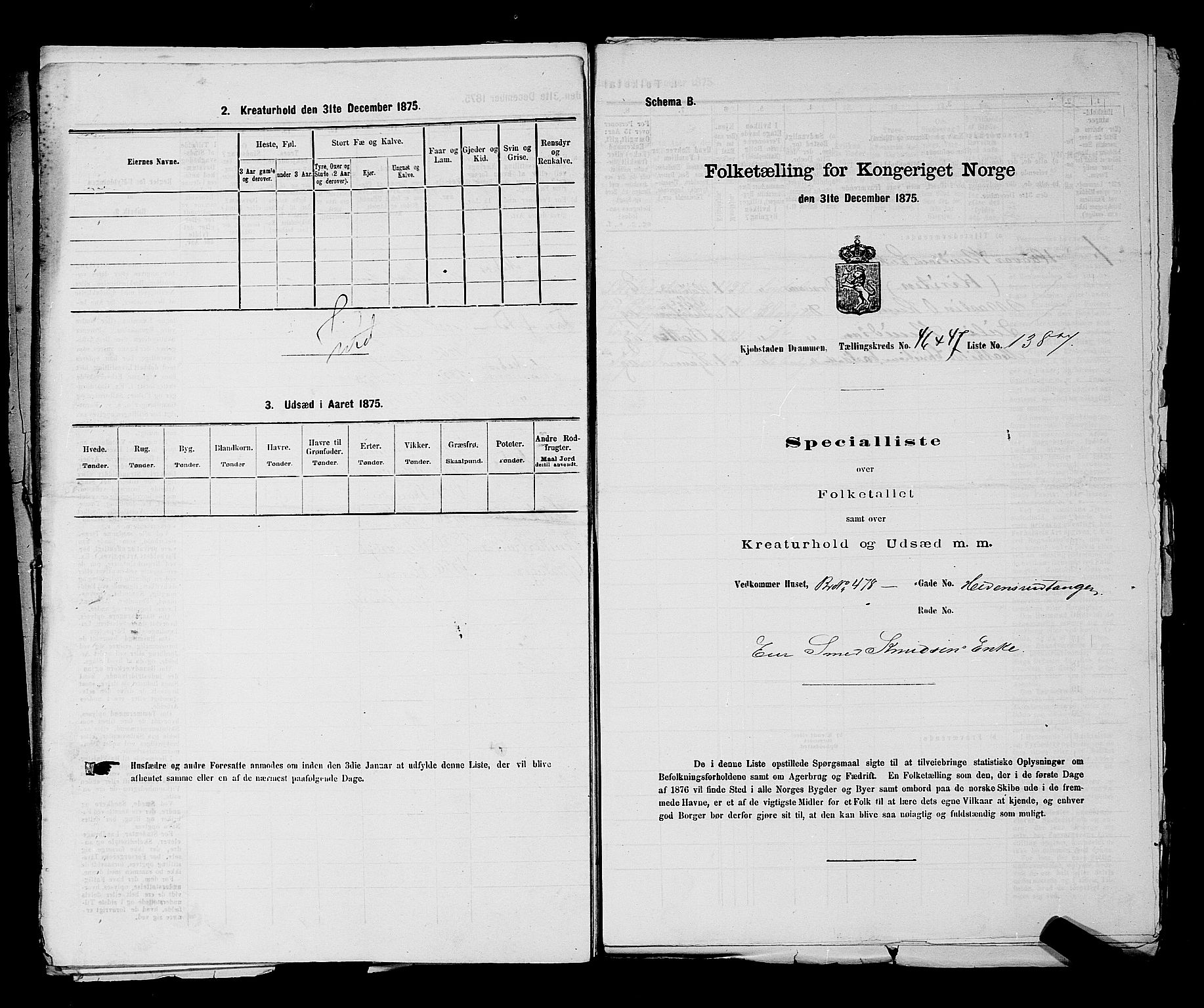 SAKO, 1875 census for 0602 Drammen, 1875, p. 3716