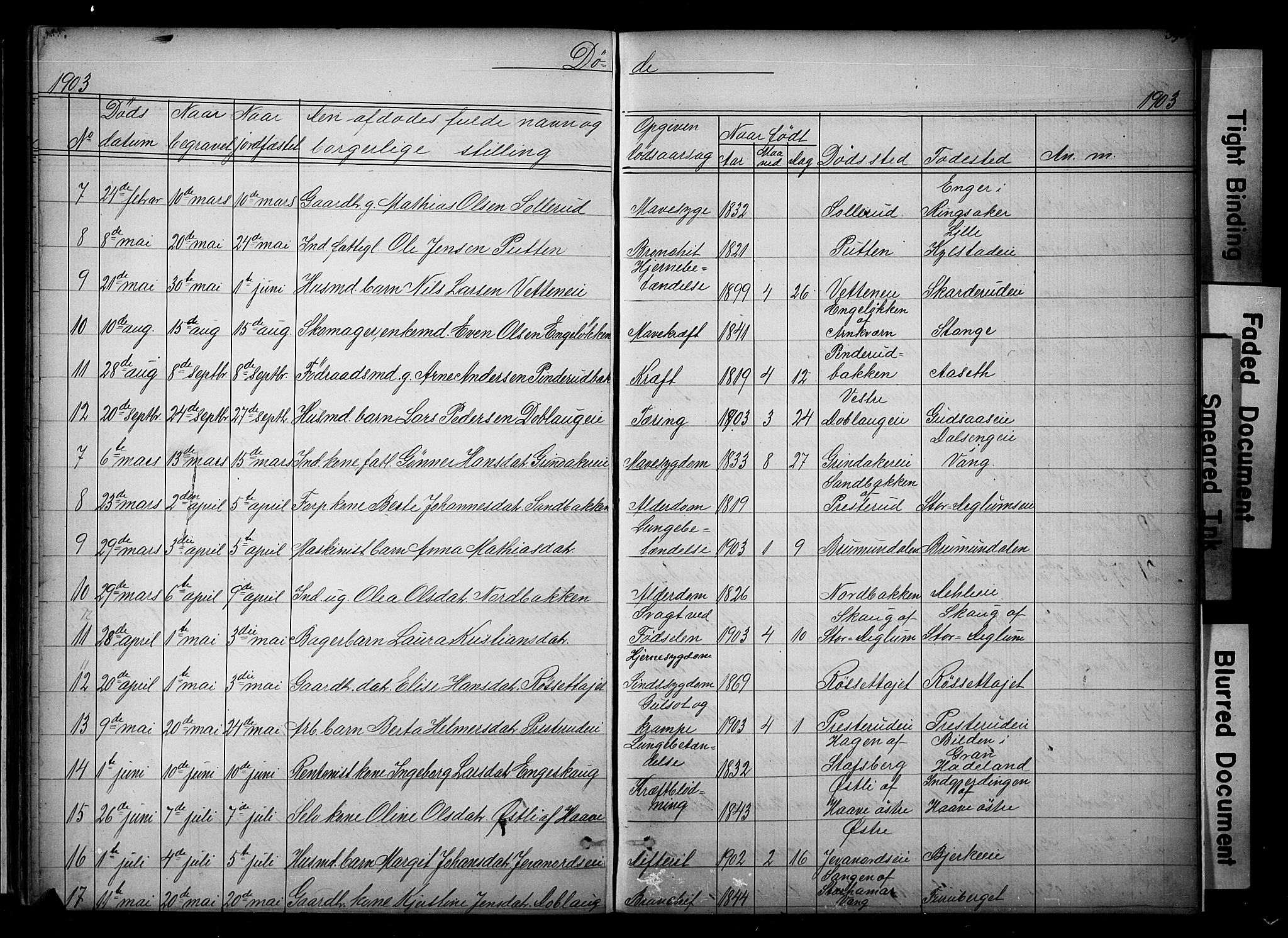 Vang prestekontor, Hedmark, SAH/PREST-008/H/Ha/Hab/L0018: Parish register (copy) no. 18, 1871-1903, p. 393