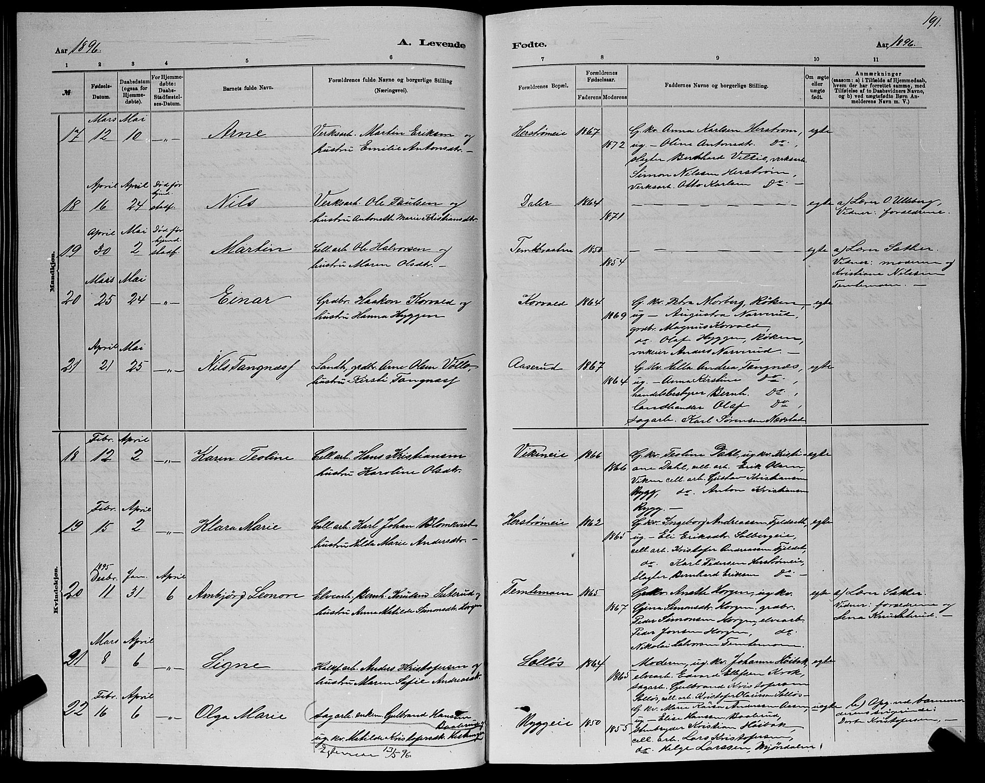 Nedre Eiker kirkebøker, SAKO/A-612/G/Ga/L0002: Parish register (copy) no. 2, 1880-1896, p. 191