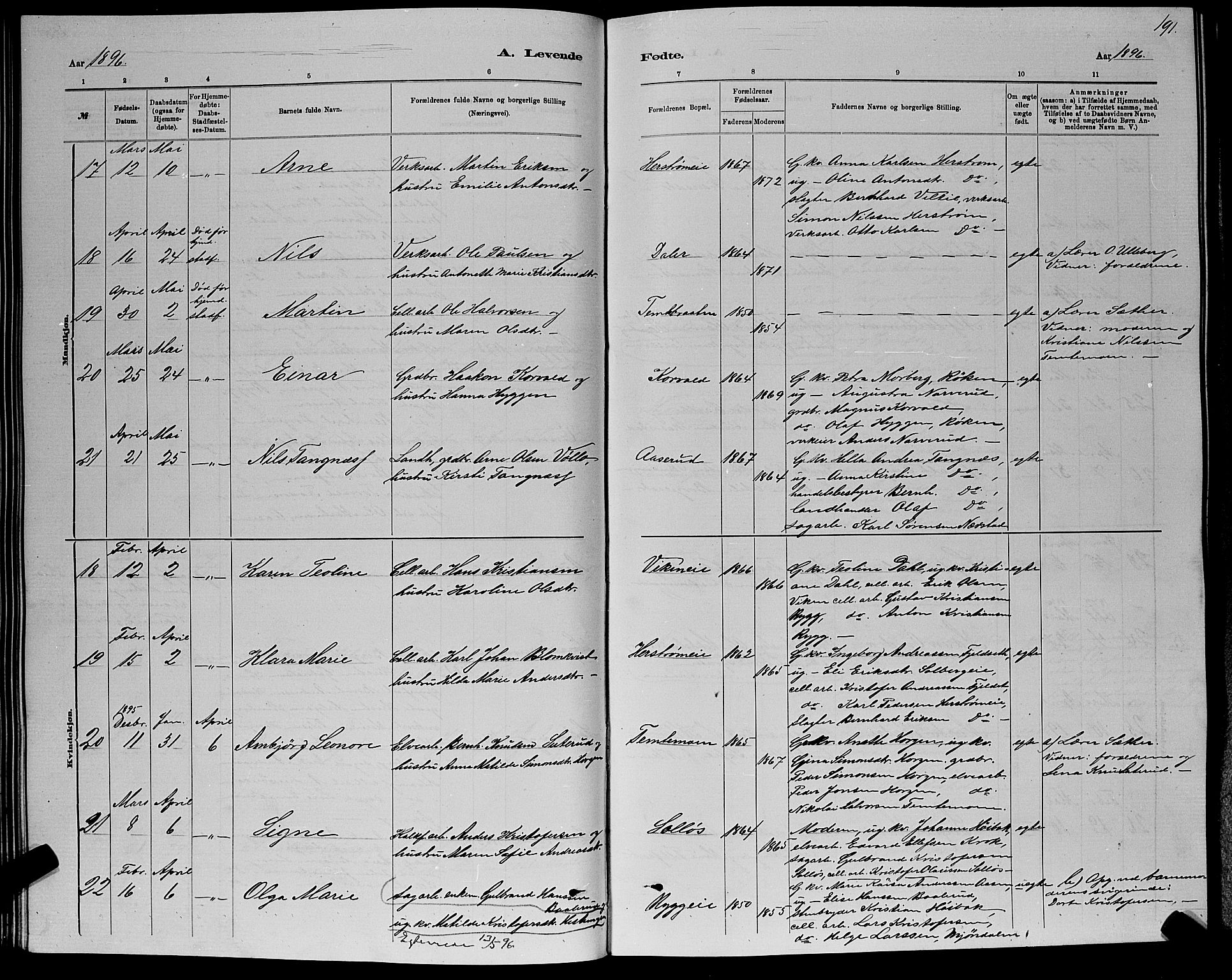 Nedre Eiker kirkebøker, AV/SAKO-A-612/G/Ga/L0002: Parish register (copy) no. 2, 1880-1896, p. 191