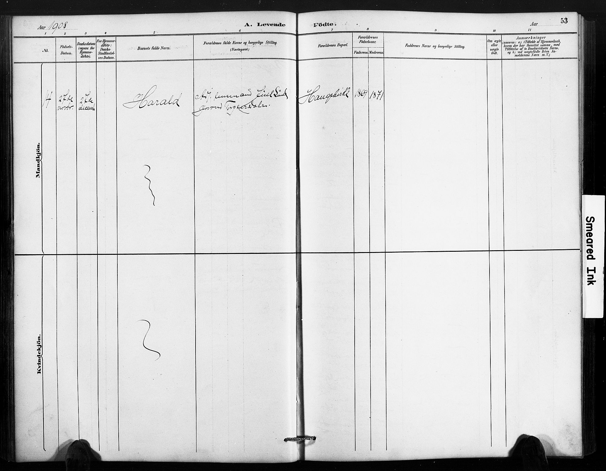 Valle sokneprestkontor, SAK/1111-0044/F/Fb/Fbc/L0004: Parish register (copy) no. B 4, 1890-1928, p. 53
