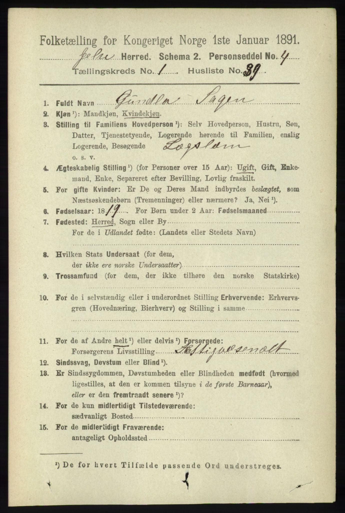 RA, 1891 census for 1138 Jelsa, 1891, p. 222