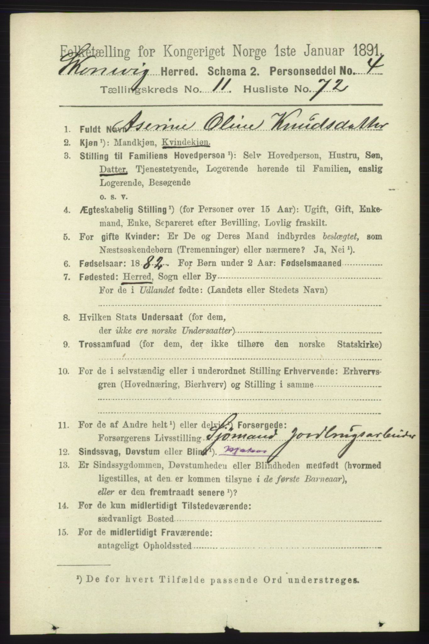 RA, 1891 census for 1212 Skånevik, 1891, p. 3706