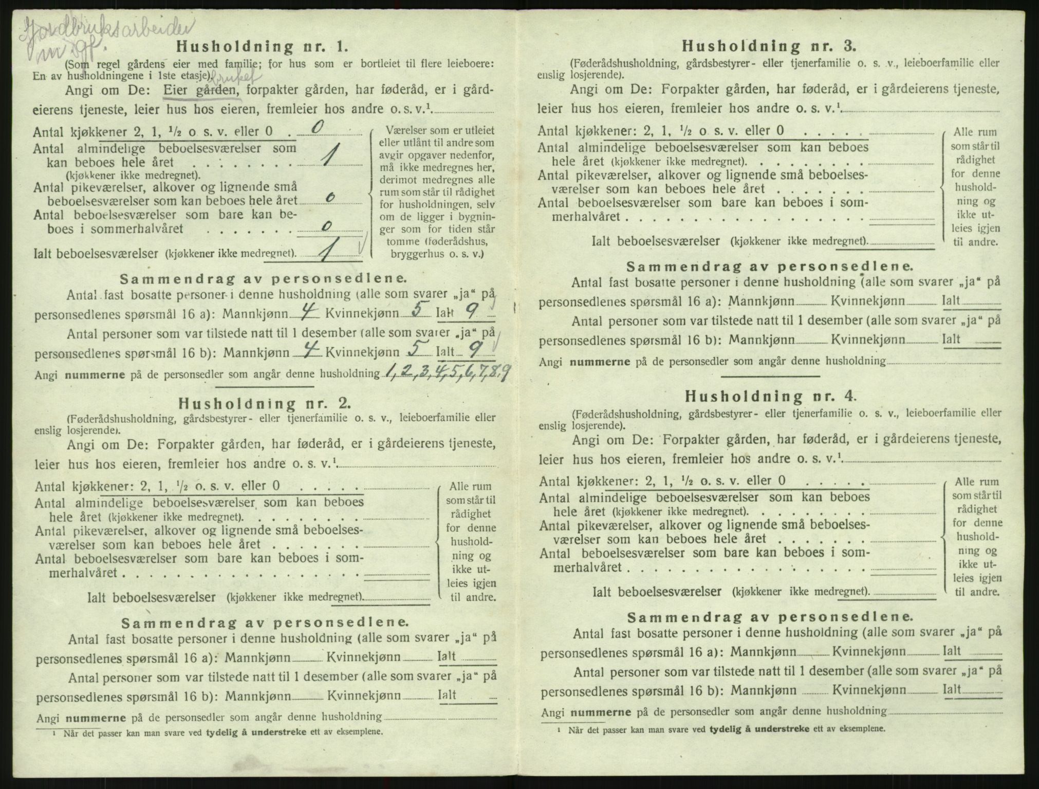 SAK, 1920 census for Valle, 1920, p. 118