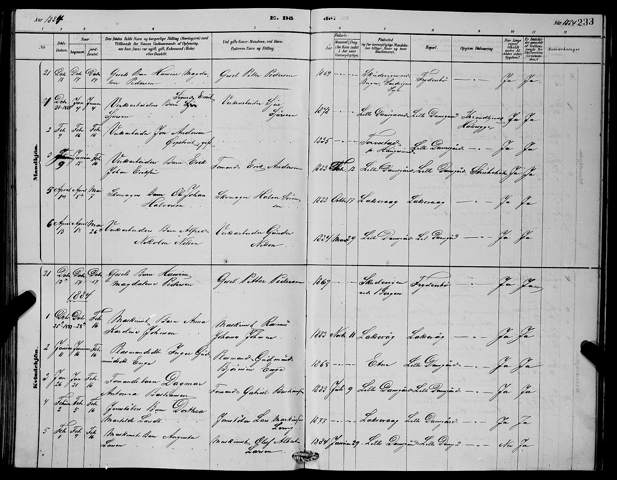 Laksevåg Sokneprestembete, SAB/A-76501/H/Ha/Hab/Haba/L0002: Parish register (copy) no. A 2, 1877-1887, p. 233