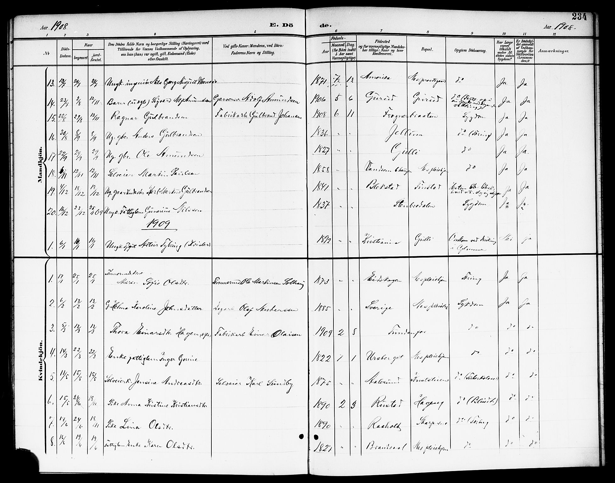 Nes prestekontor Kirkebøker, AV/SAO-A-10410/G/Ga/L0002: Parish register (copy) no. I 2, 1901-1912, p. 234