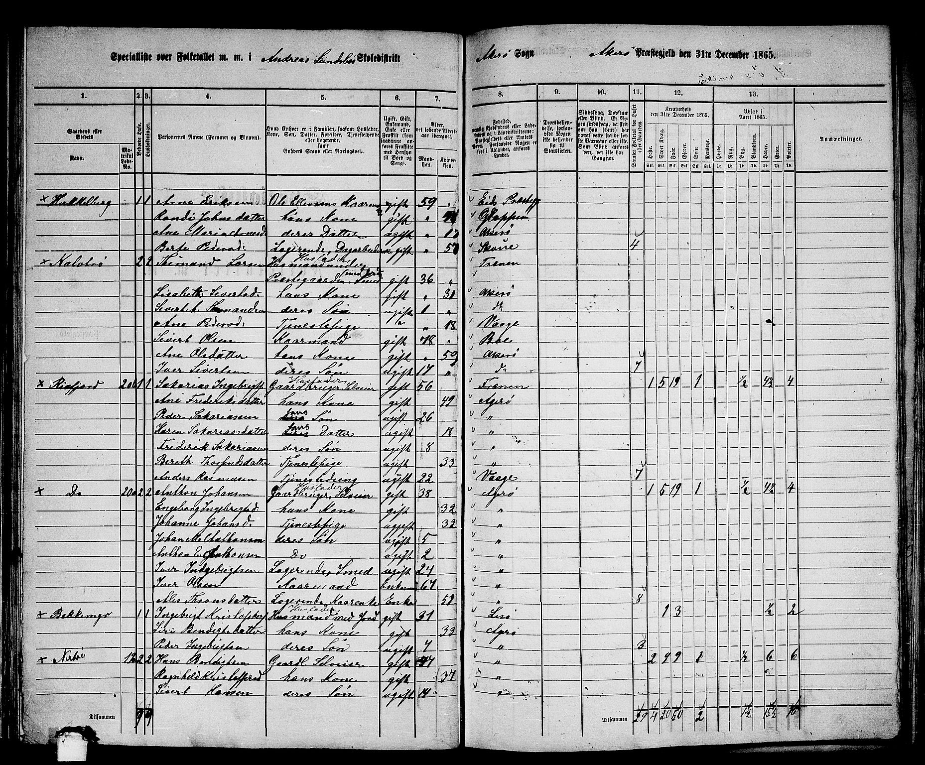 RA, 1865 census for Aukra, 1865, p. 96