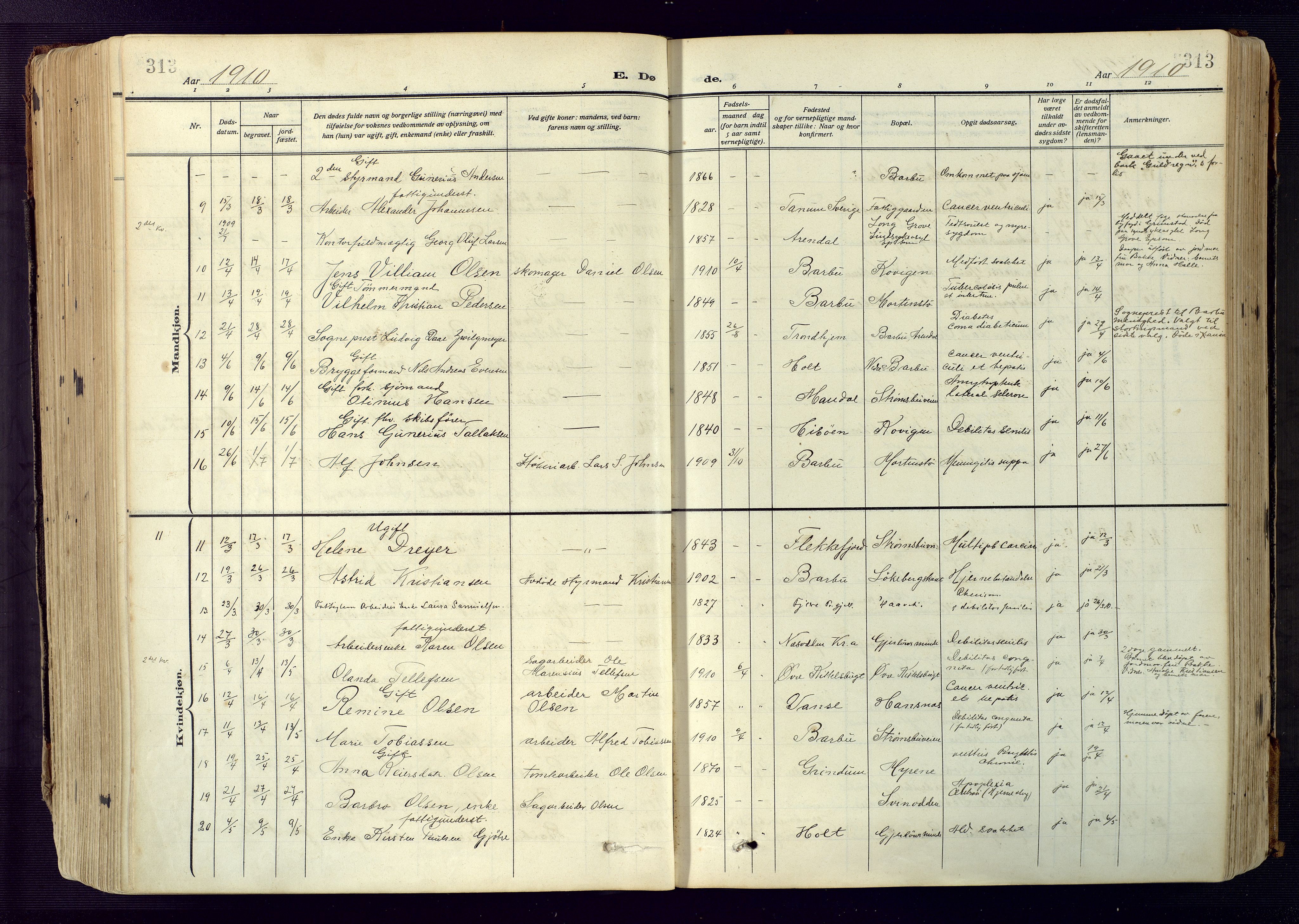 Barbu sokneprestkontor, SAK/1111-0003/F/Fa/L0006: Parish register (official) no. A 6, 1910-1929, p. 313