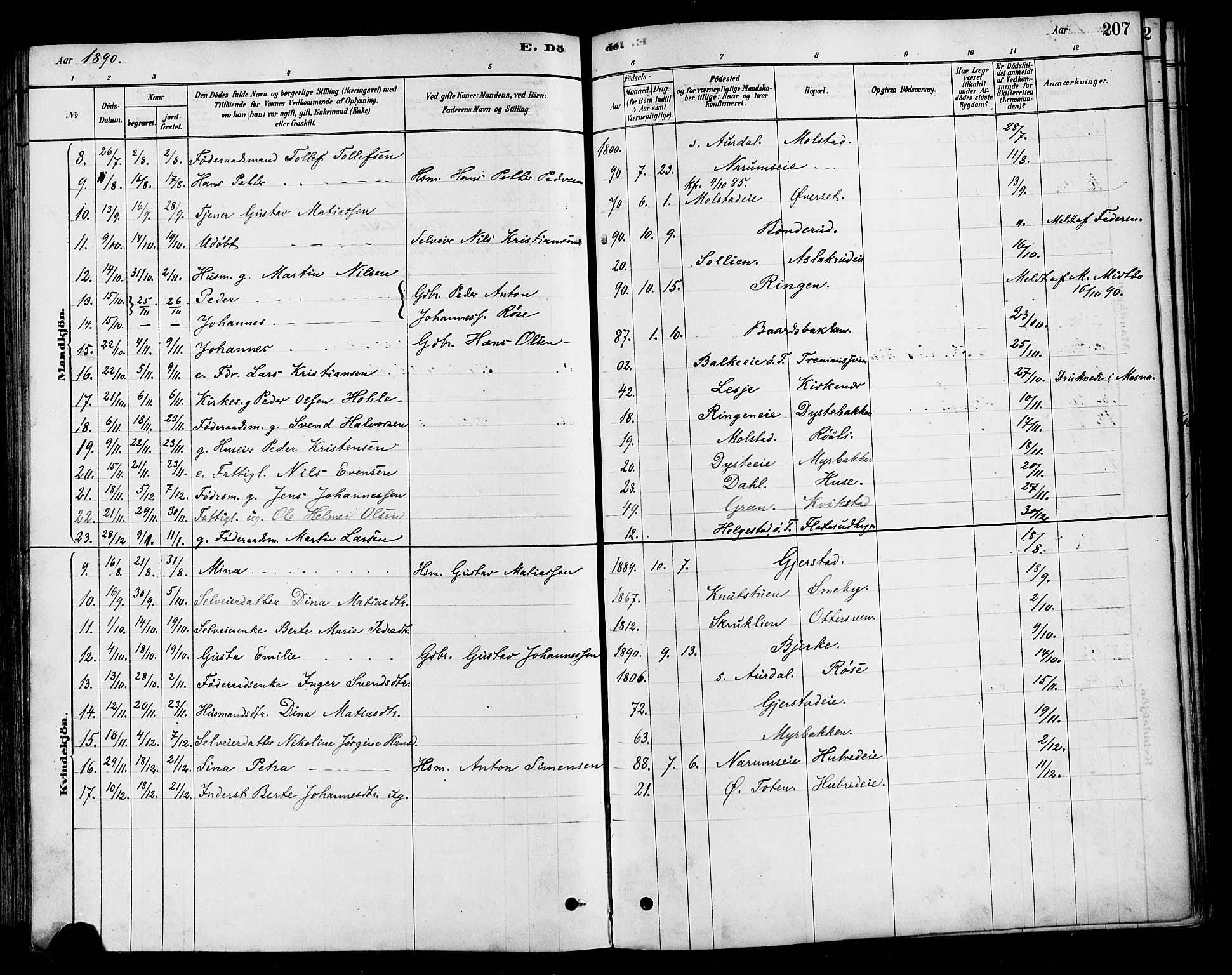 Vestre Toten prestekontor, AV/SAH-PREST-108/H/Ha/Haa/L0010: Parish register (official) no. 10, 1878-1894, p. 207