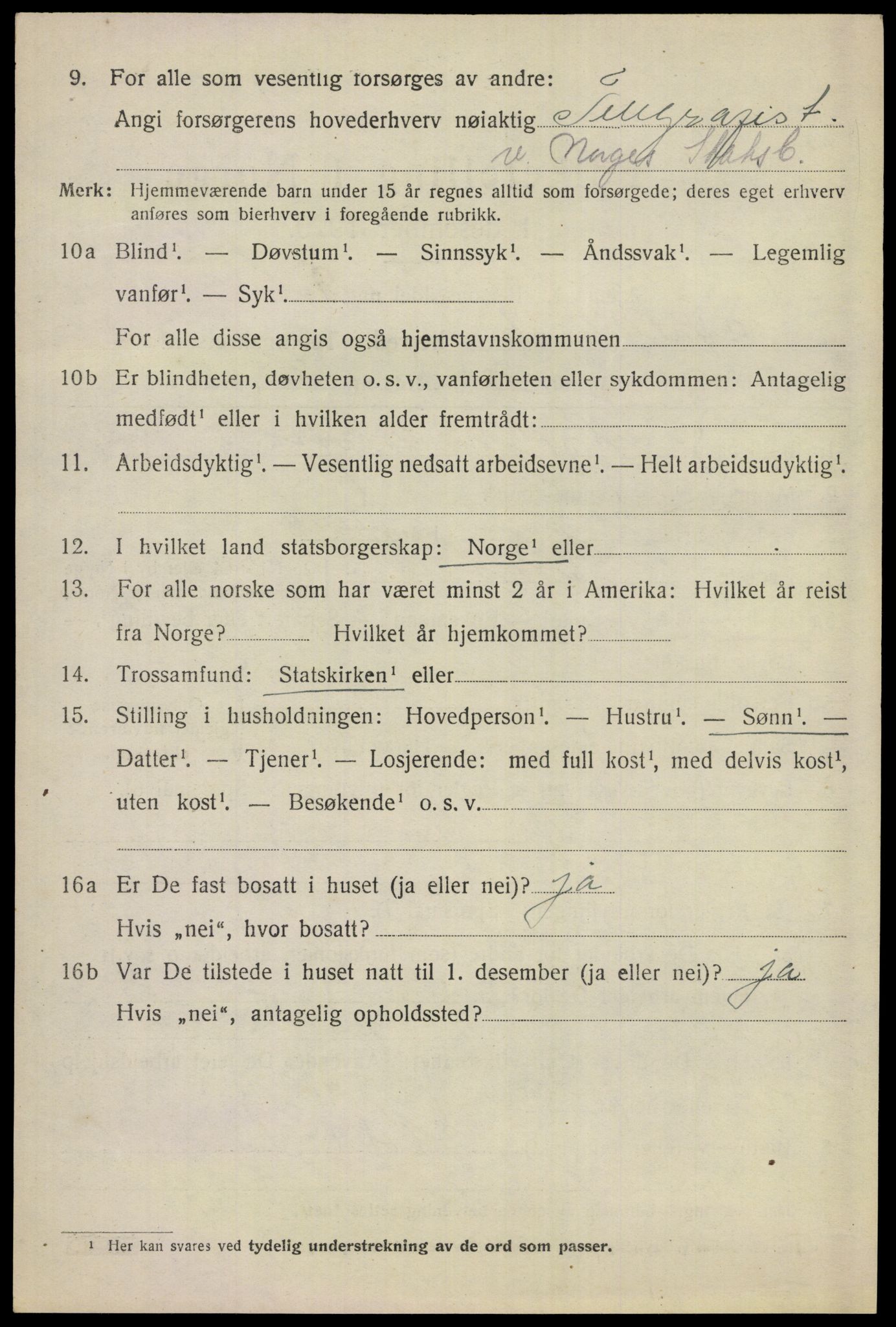 SAKO, 1920 census for Ål, 1920, p. 2367