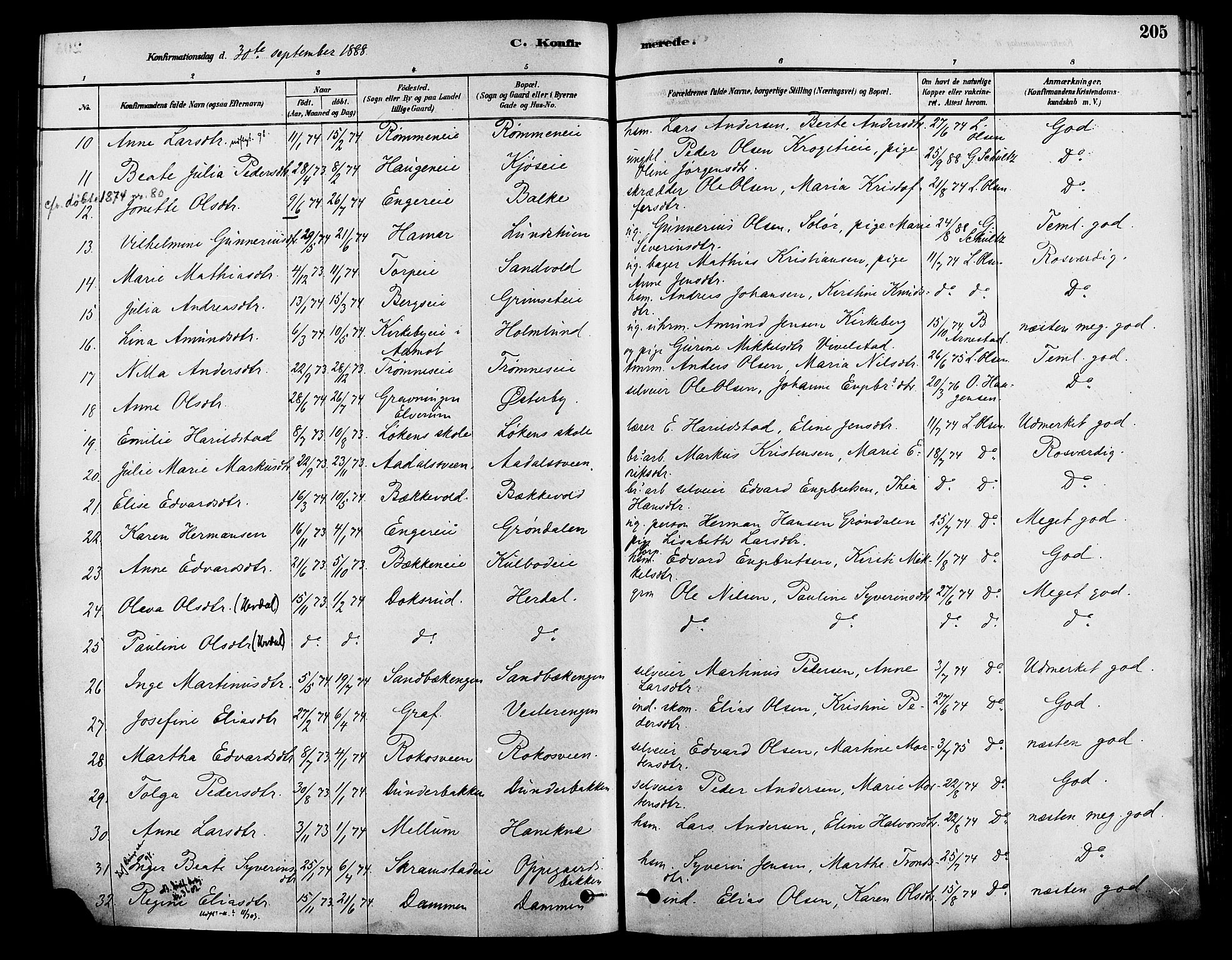 Løten prestekontor, AV/SAH-PREST-022/K/Ka/L0009: Parish register (official) no. 9, 1878-1891, p. 205