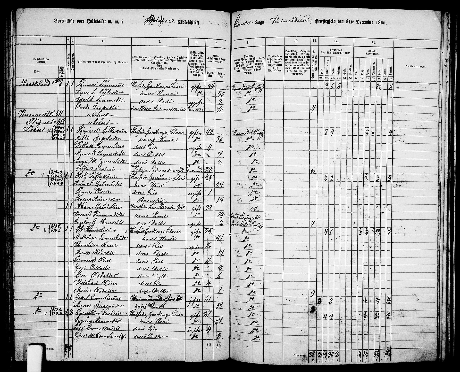 RA, 1865 census for Kvinesdal, 1865, p. 135