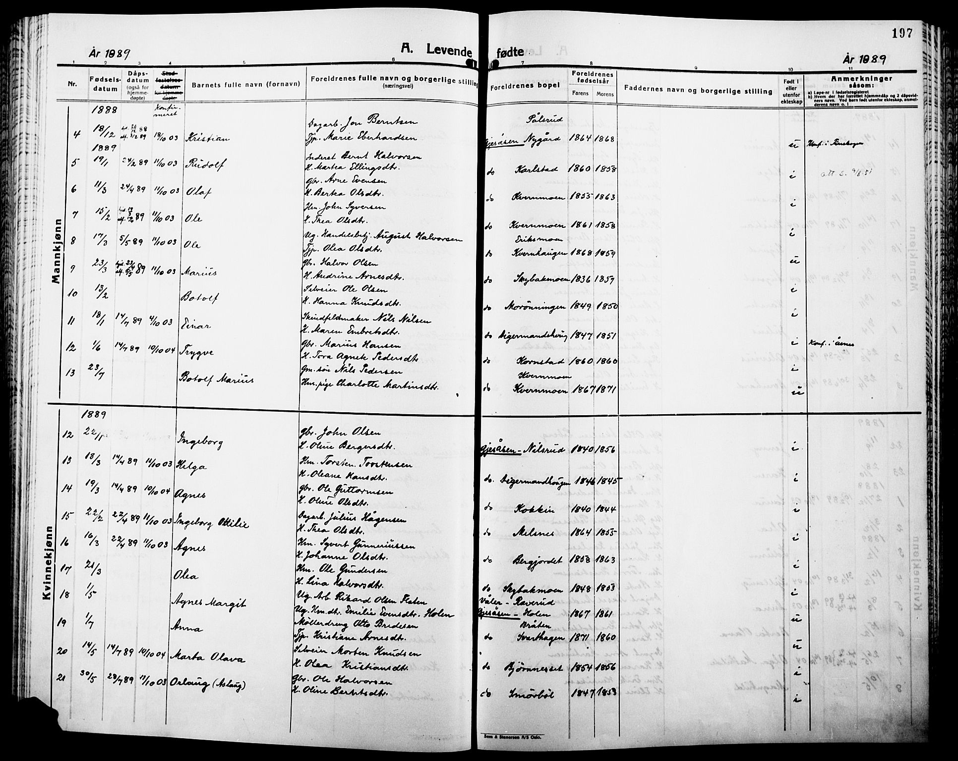 Åsnes prestekontor, SAH/PREST-042/H/Ha/Haa/L0000B: Parish register (official), 1870-1889, p. 197